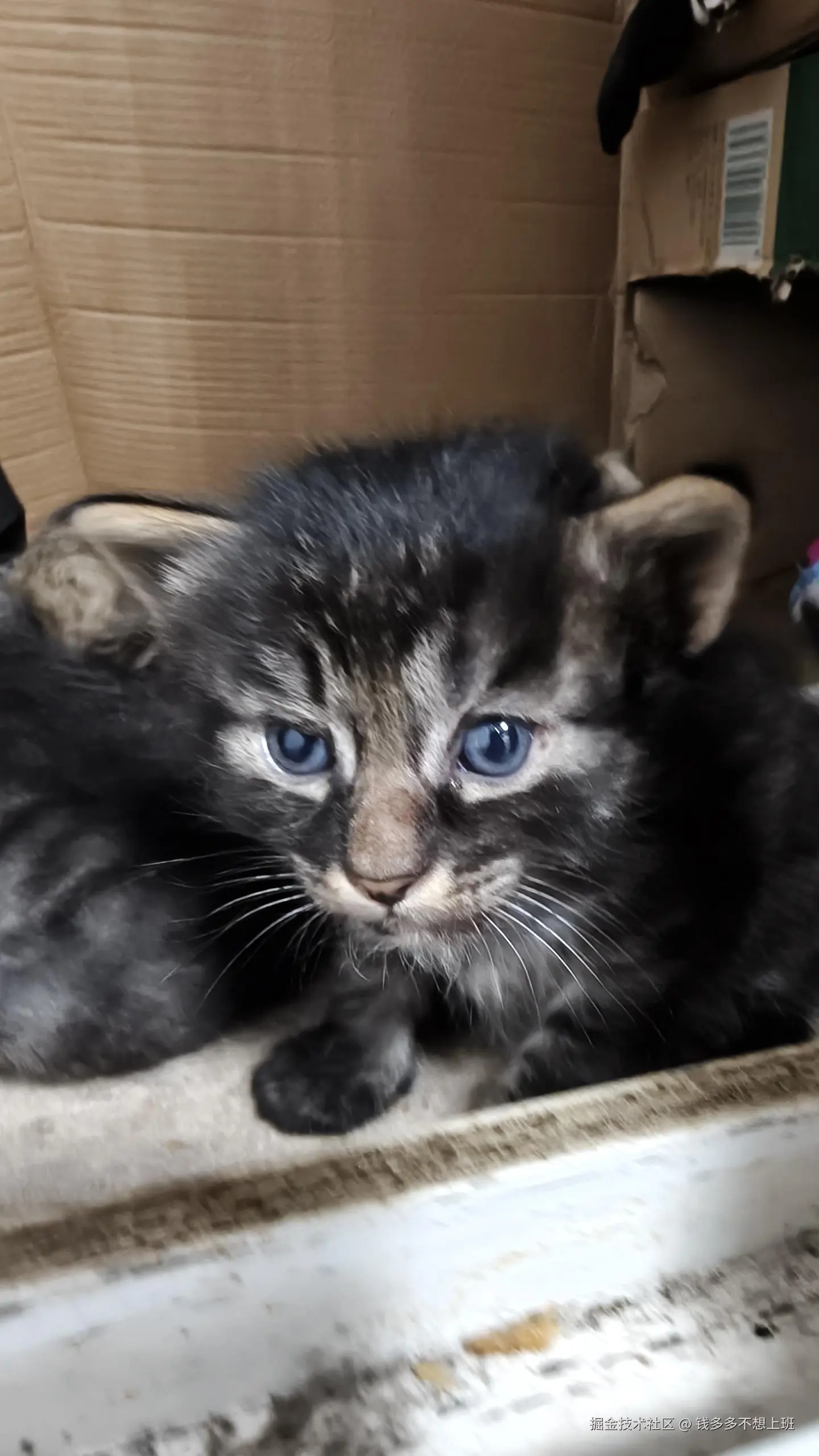 钱多多不想上班于2025-05-08 14:51发布的图片