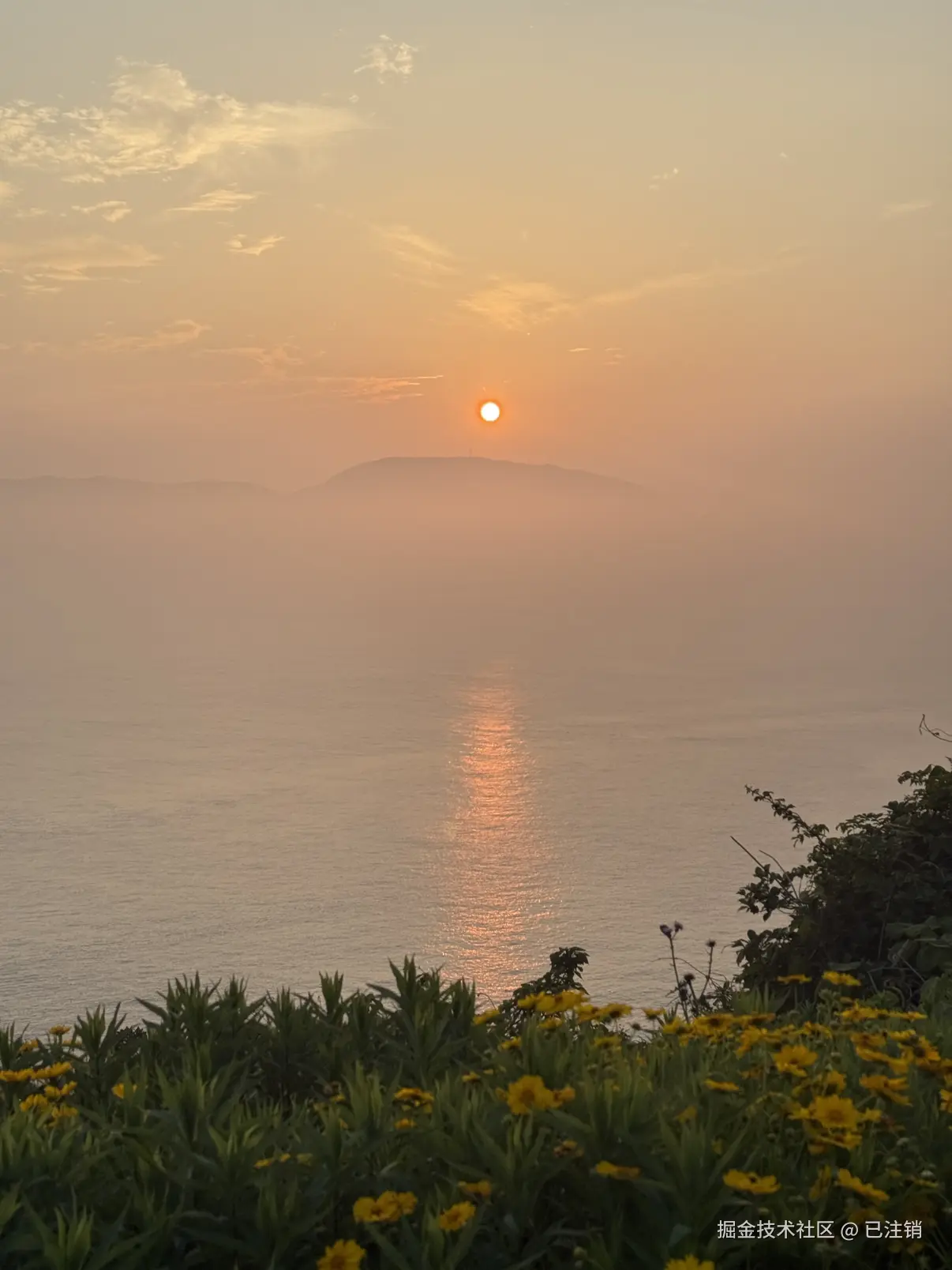 已注销于2025-05-19 10:38发布的图片