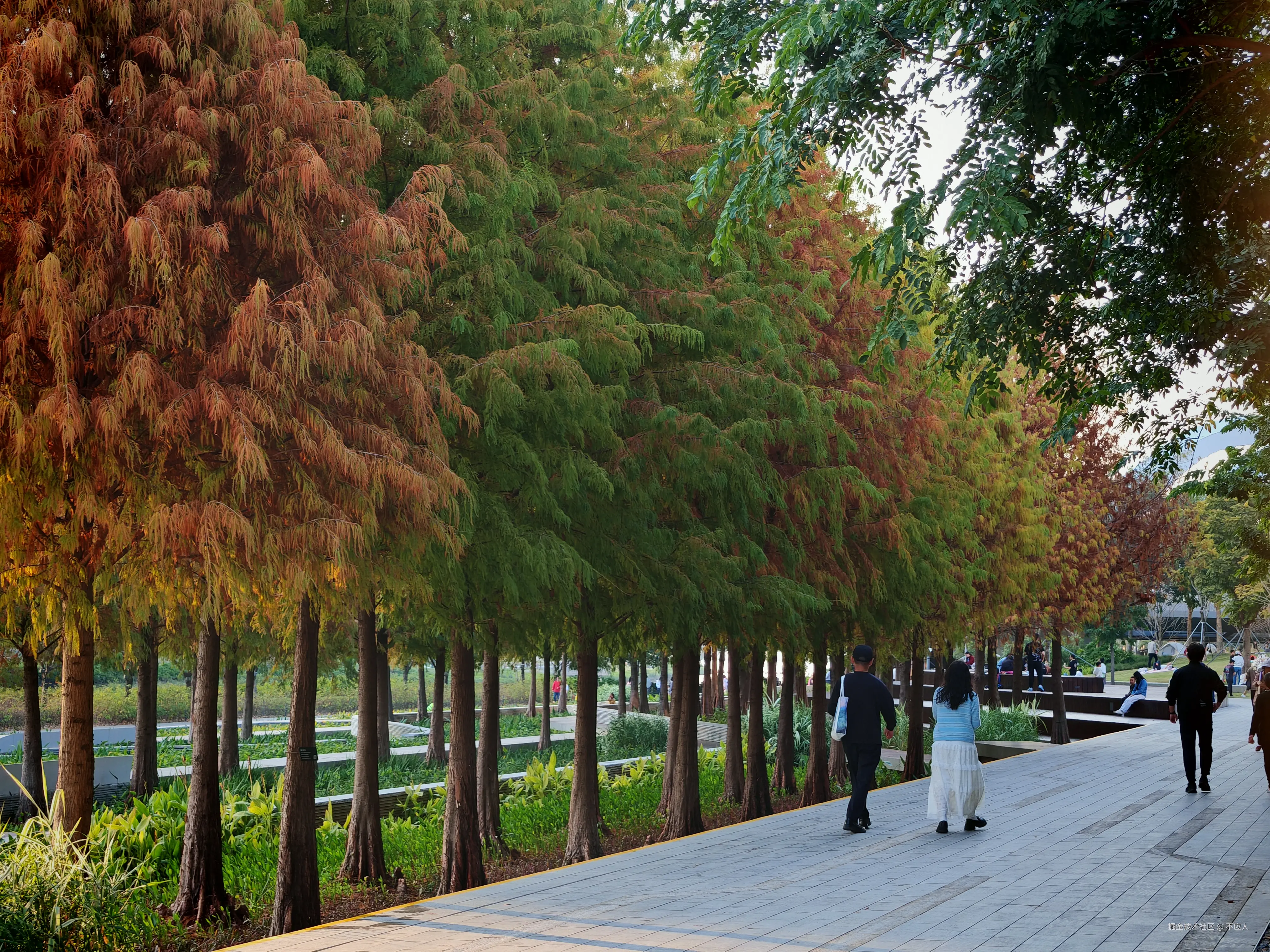 不应人于2026-01-18 19:26发布的图片