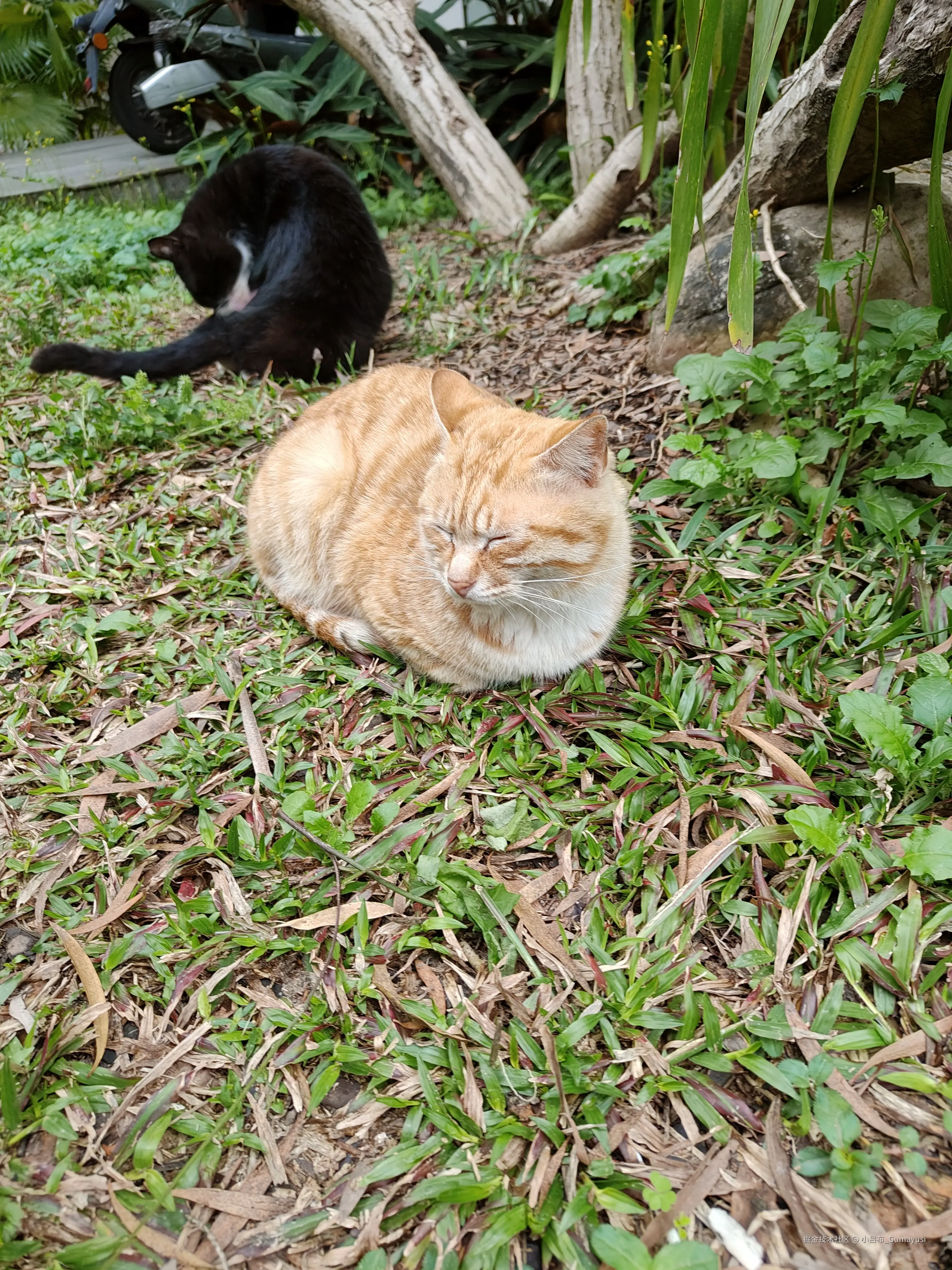 小吕布_Gumayusi于2025-03-10 09:53发布的图片