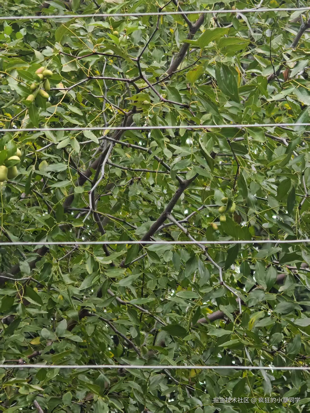 疯狂的小覃同学于2025-09-19 08:04发布的图片