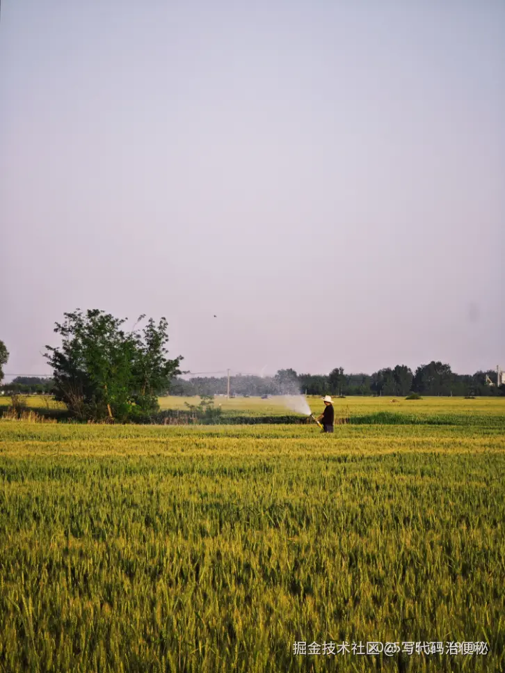 写代码治便秘于2025-05-07 10:57发布的图片