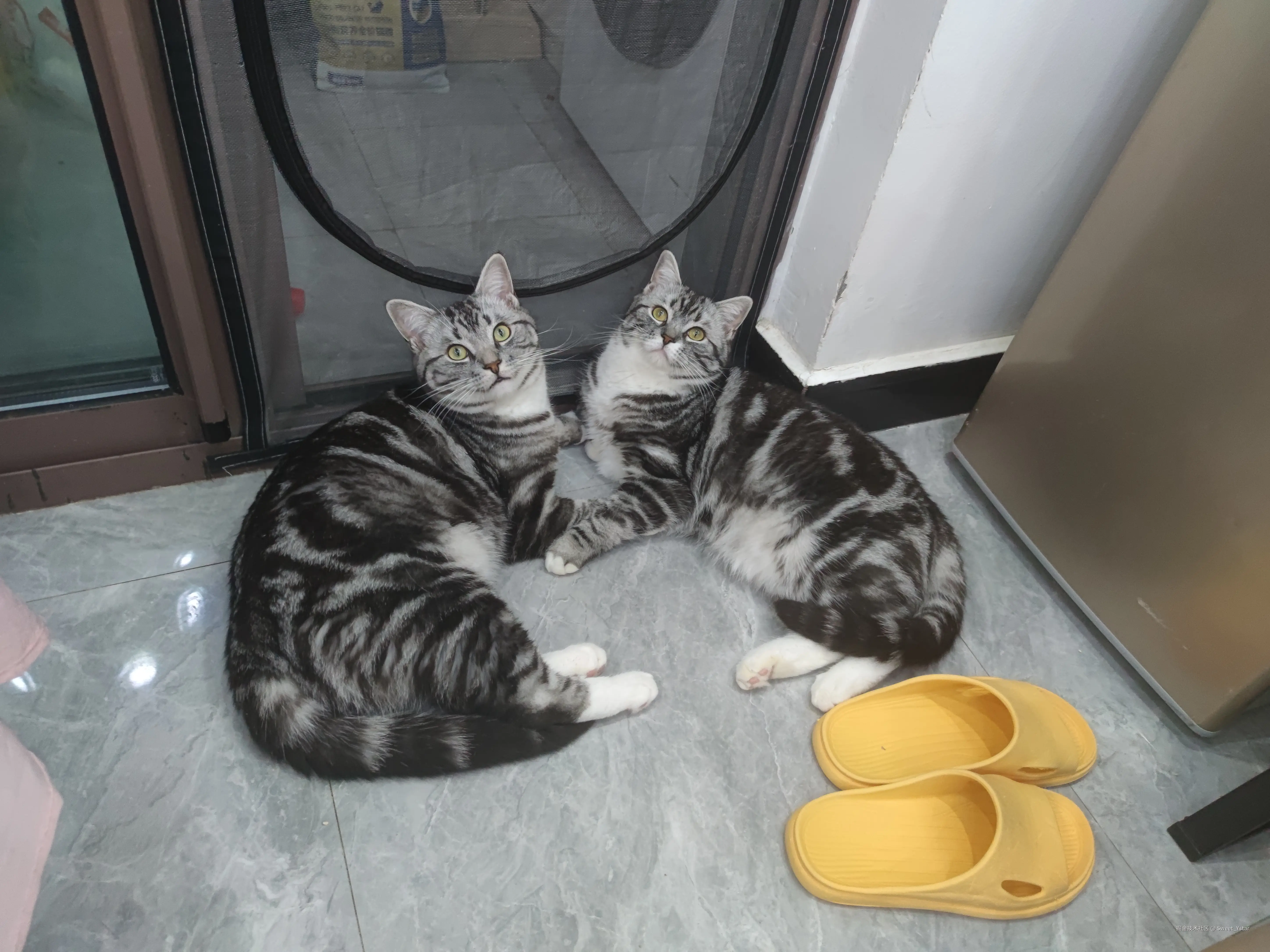 Sweet_Ystar于2026-02-13 15:57发布的图片