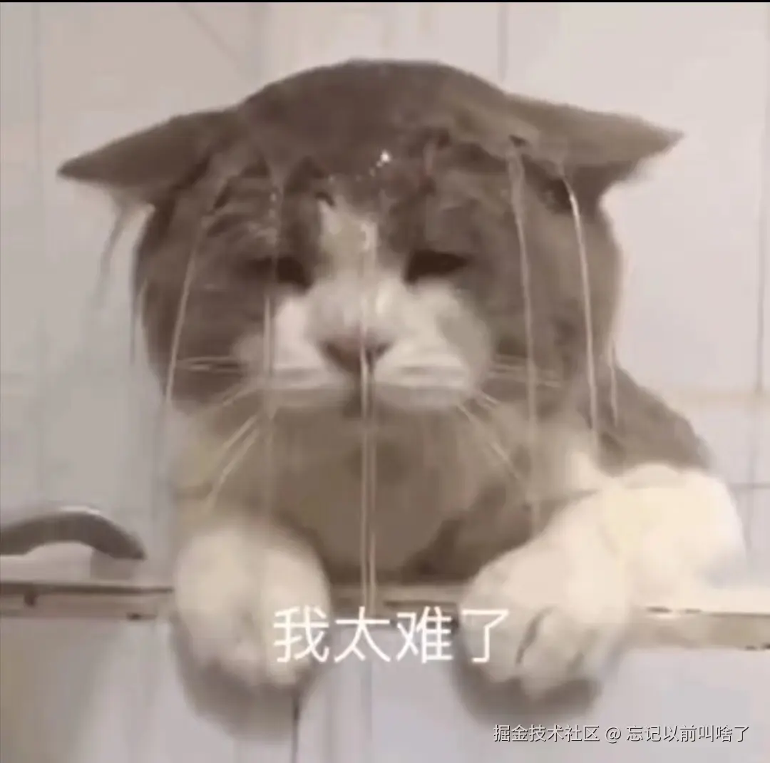 忘记以前叫啥了于2024-07-18 16:14发布的图片