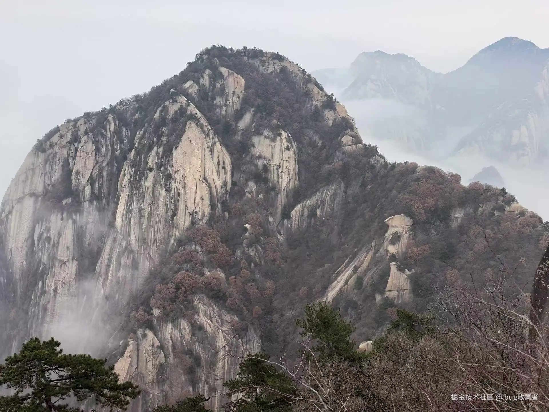 bug收集者于2026-03-09 08:27发布的图片