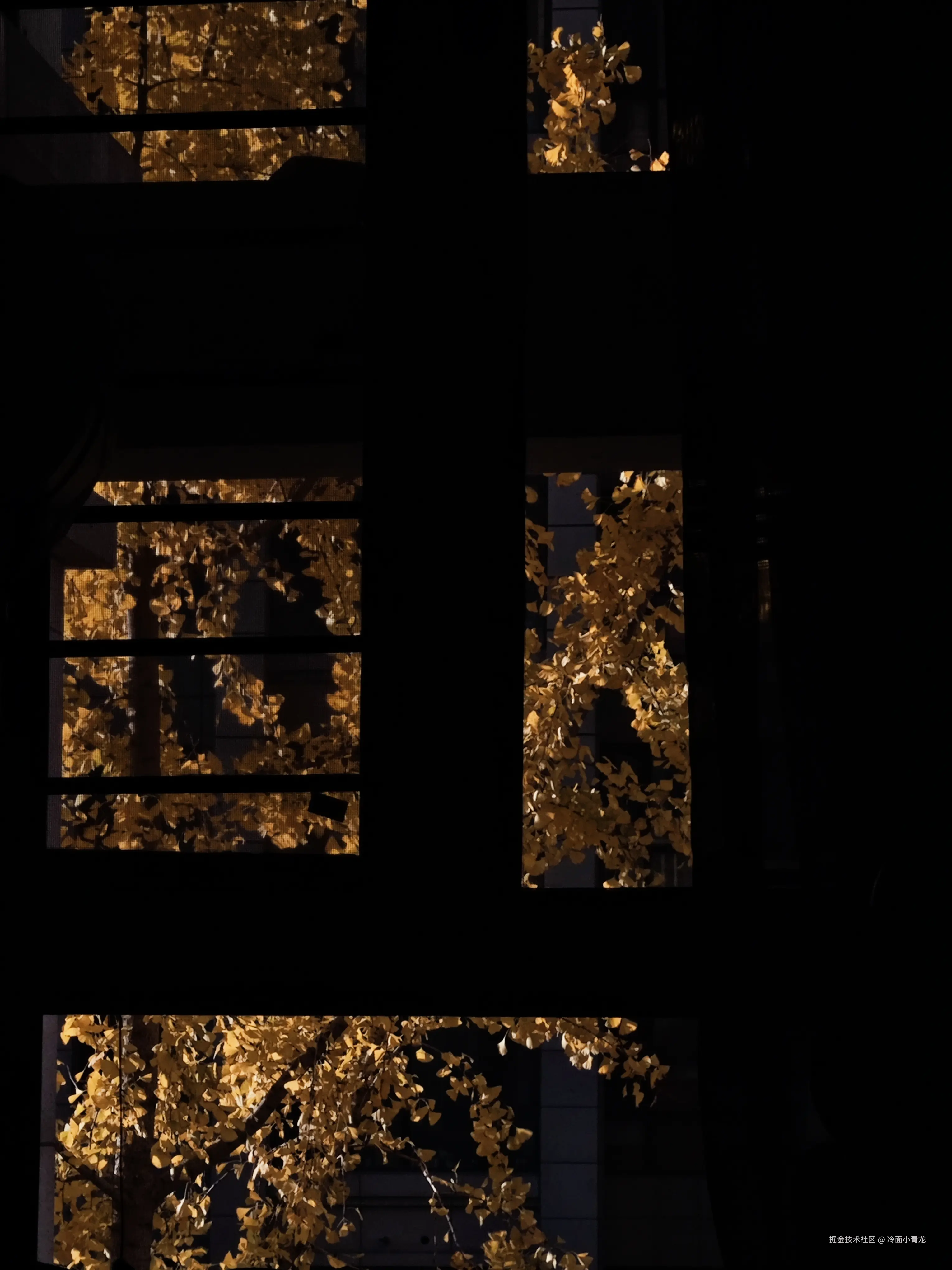 冷面小青龙于2024-11-30 10:34发布的图片