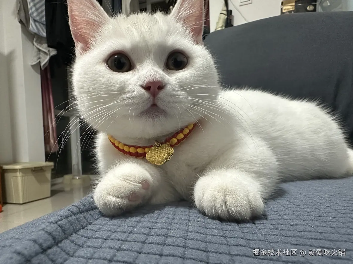 就爱吃火锅于2025-04-15 09:51发布的图片