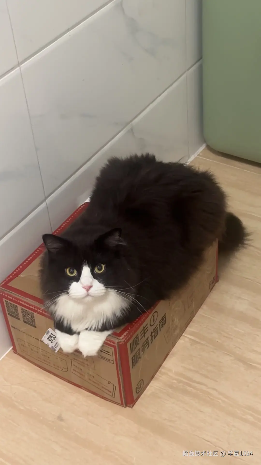 半夏1024于2024-11-12 09:34发布的图片