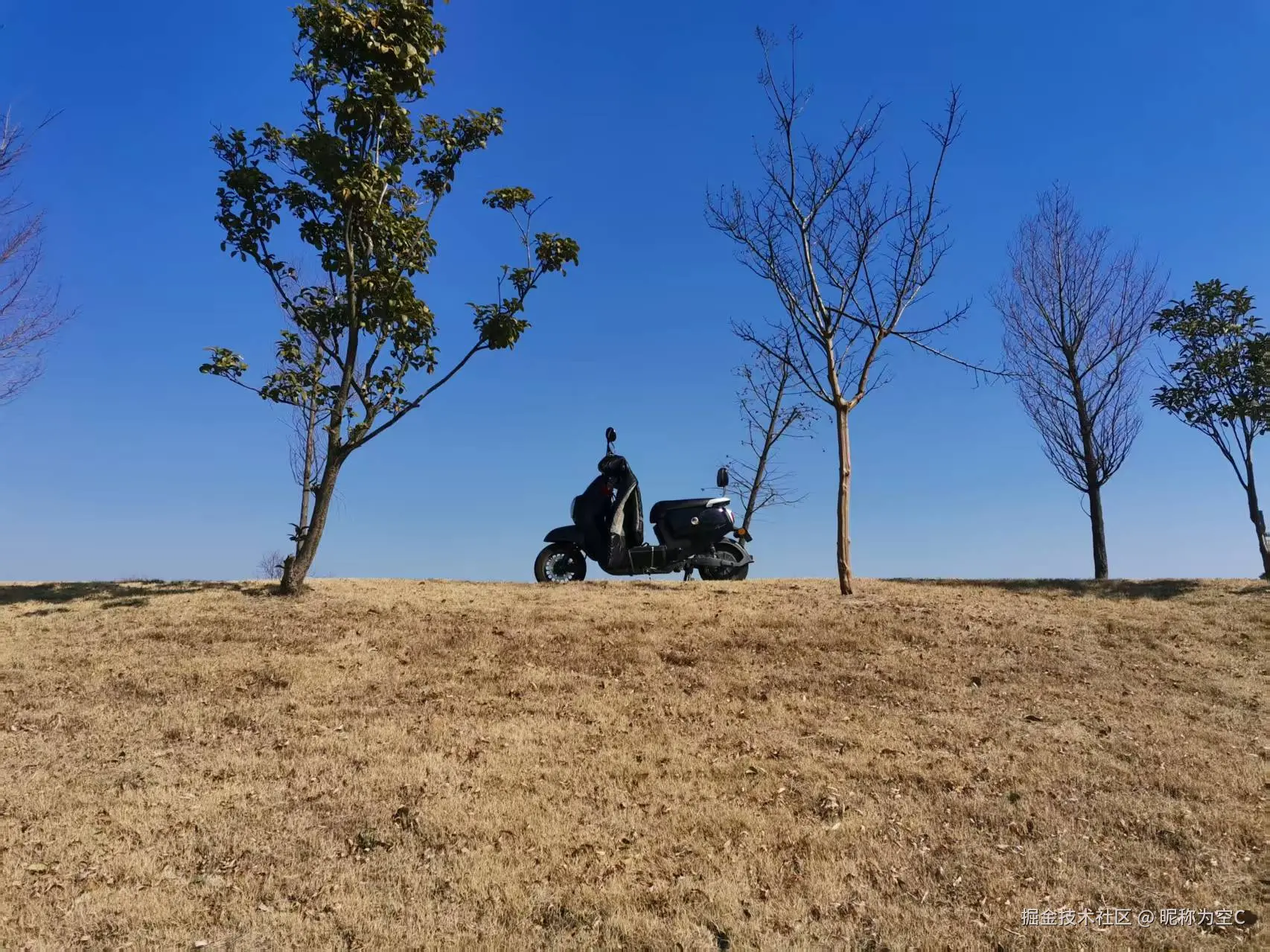 昵称为空C于2025-04-18 07:15发布的图片