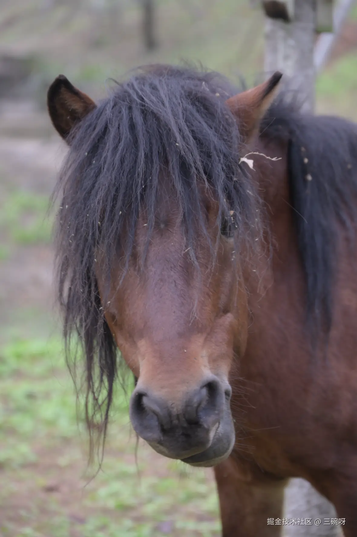 三碗呀于2025-11-26 09:35发布的图片