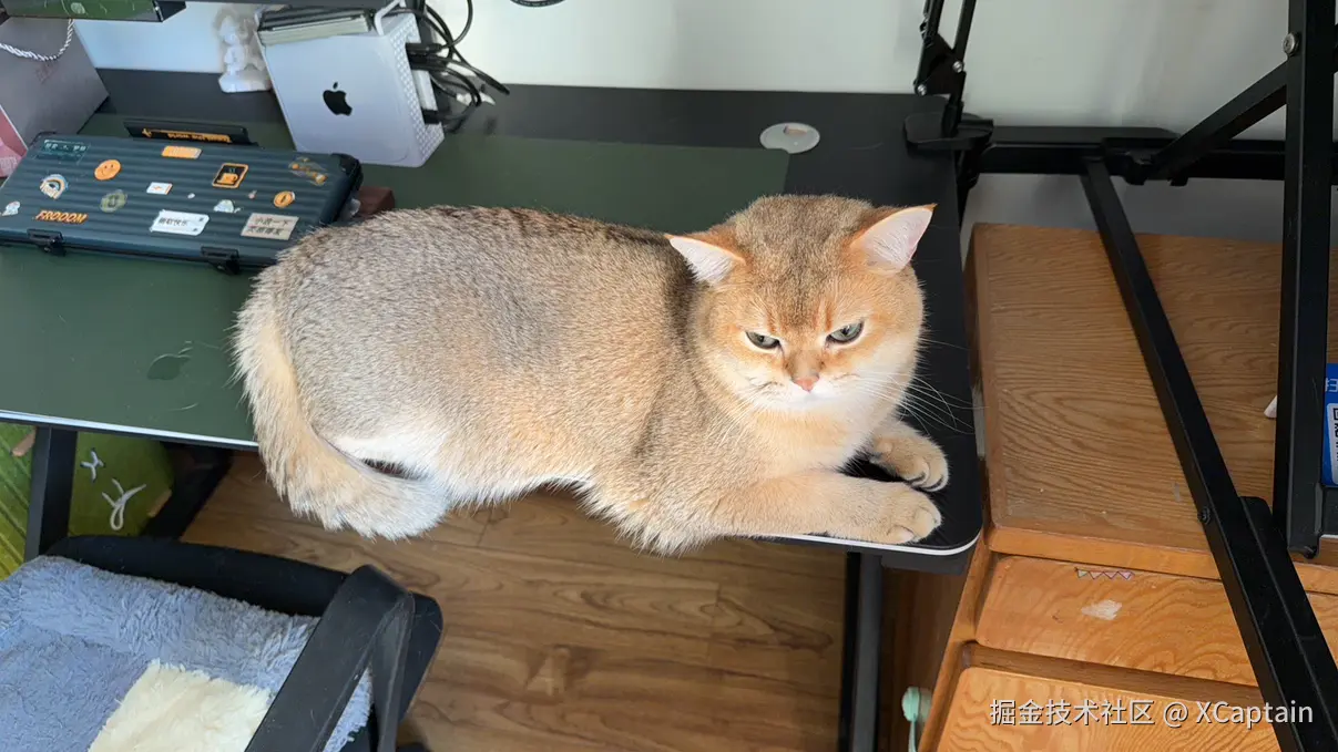 XCaptain于2026-02-10 09:14发布的图片