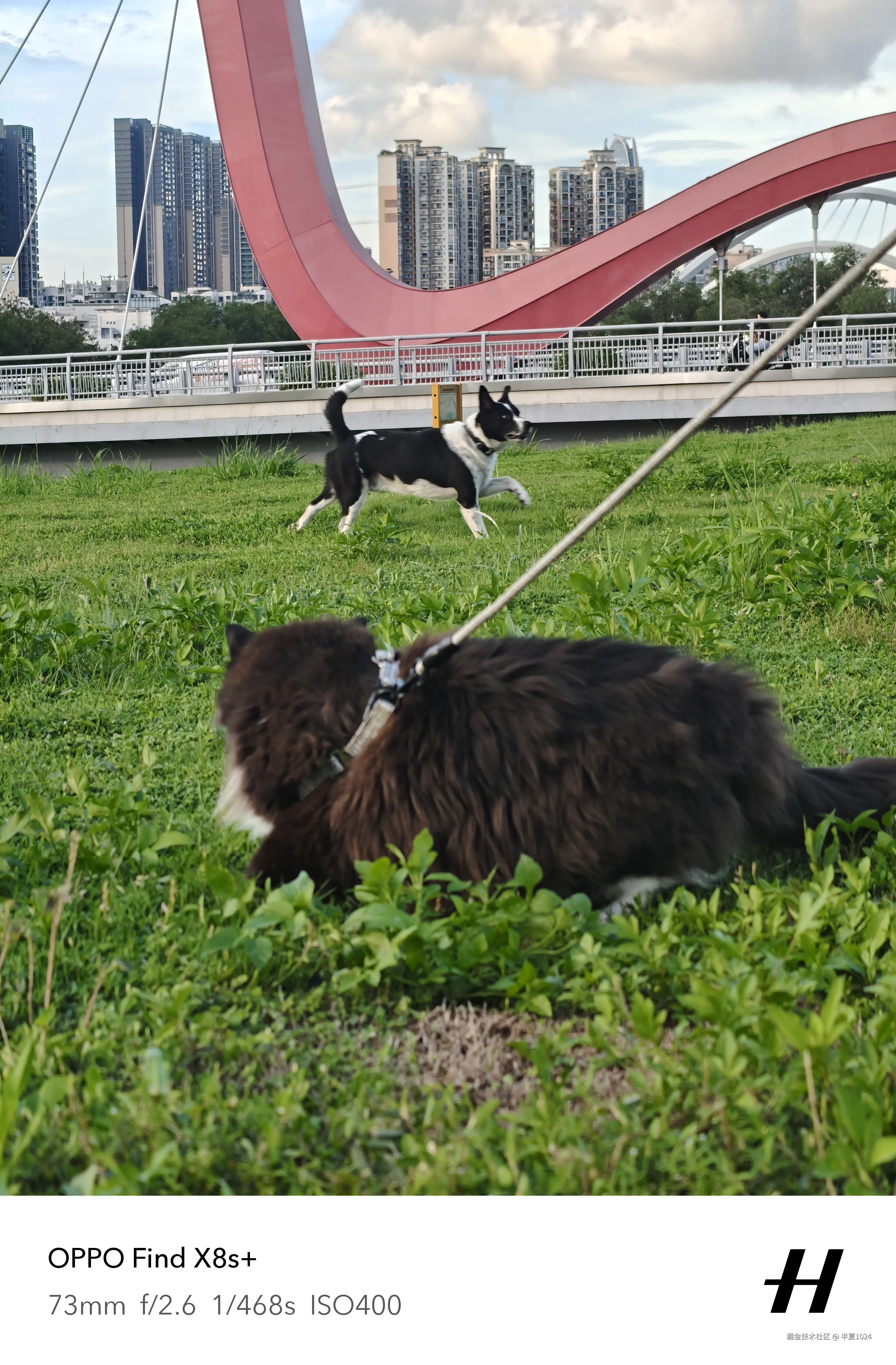 半夏1024于2025-06-23 09:42发布的图片