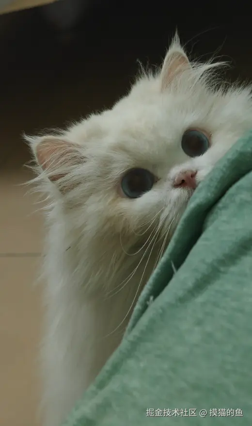 摸猫的鱼于2025-08-29 17:29发布的图片