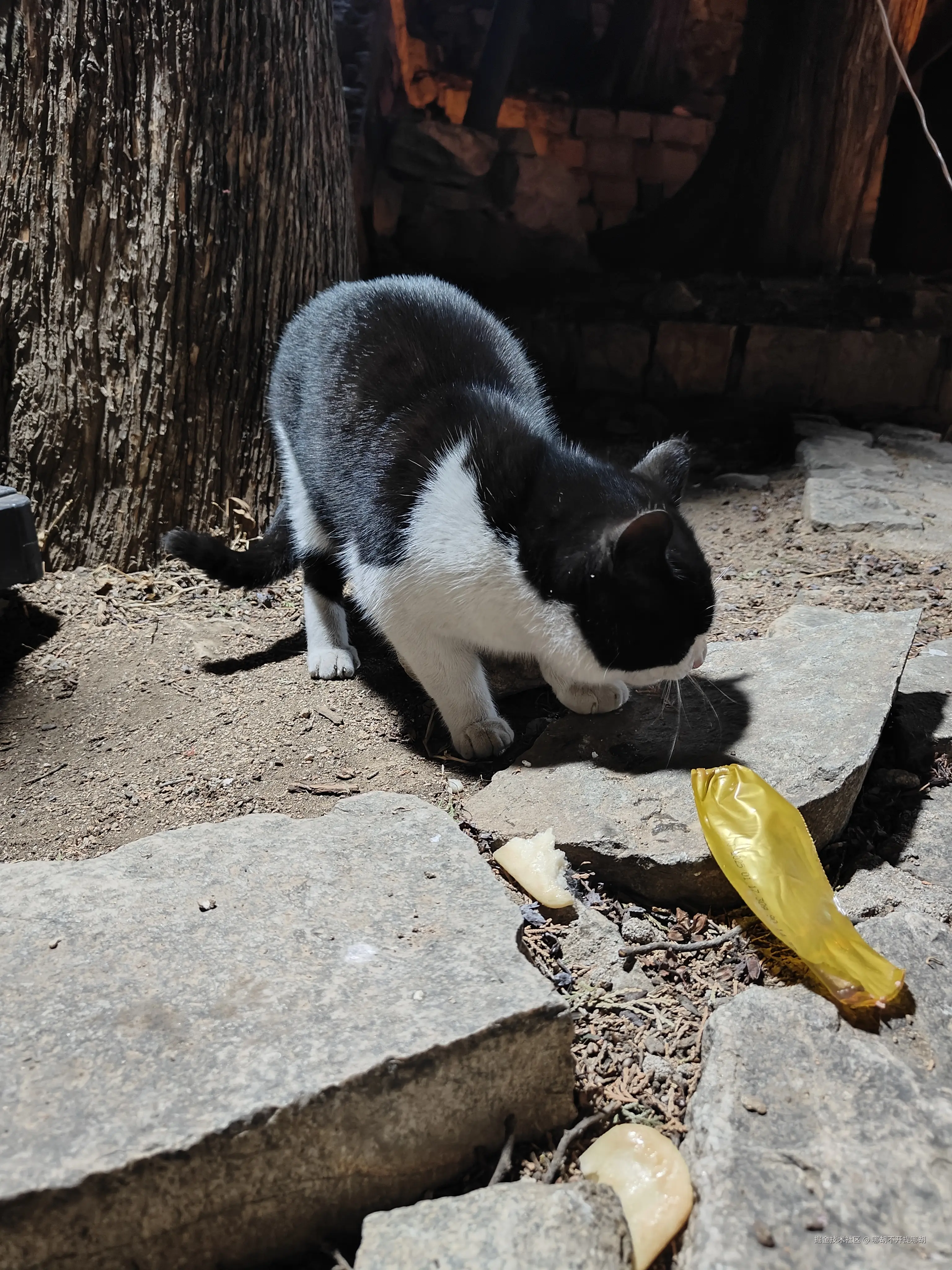 哪胡不开提哪胡于2025-02-28 07:59发布的图片