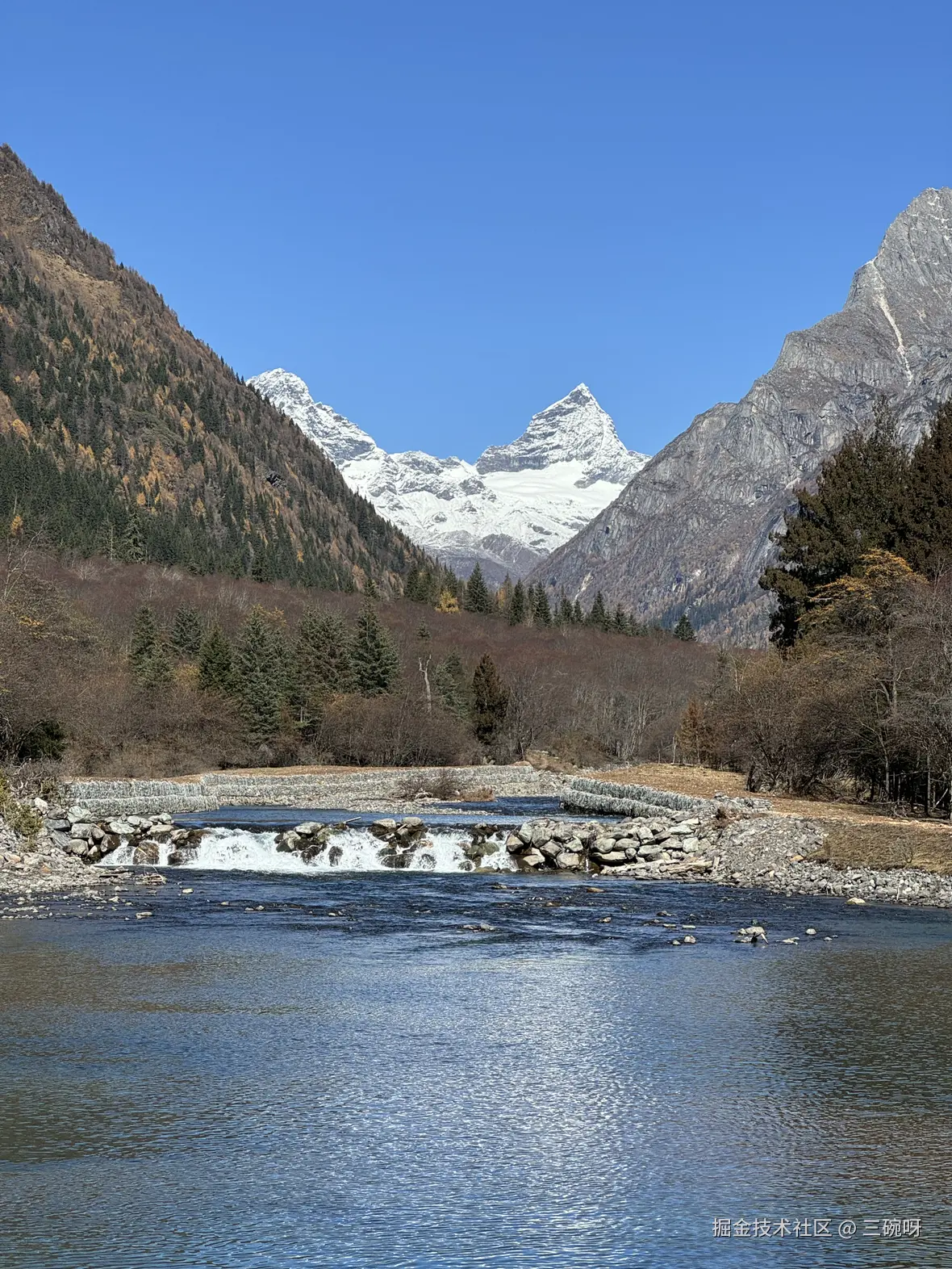 三碗呀于2024-11-13 09:18发布的图片