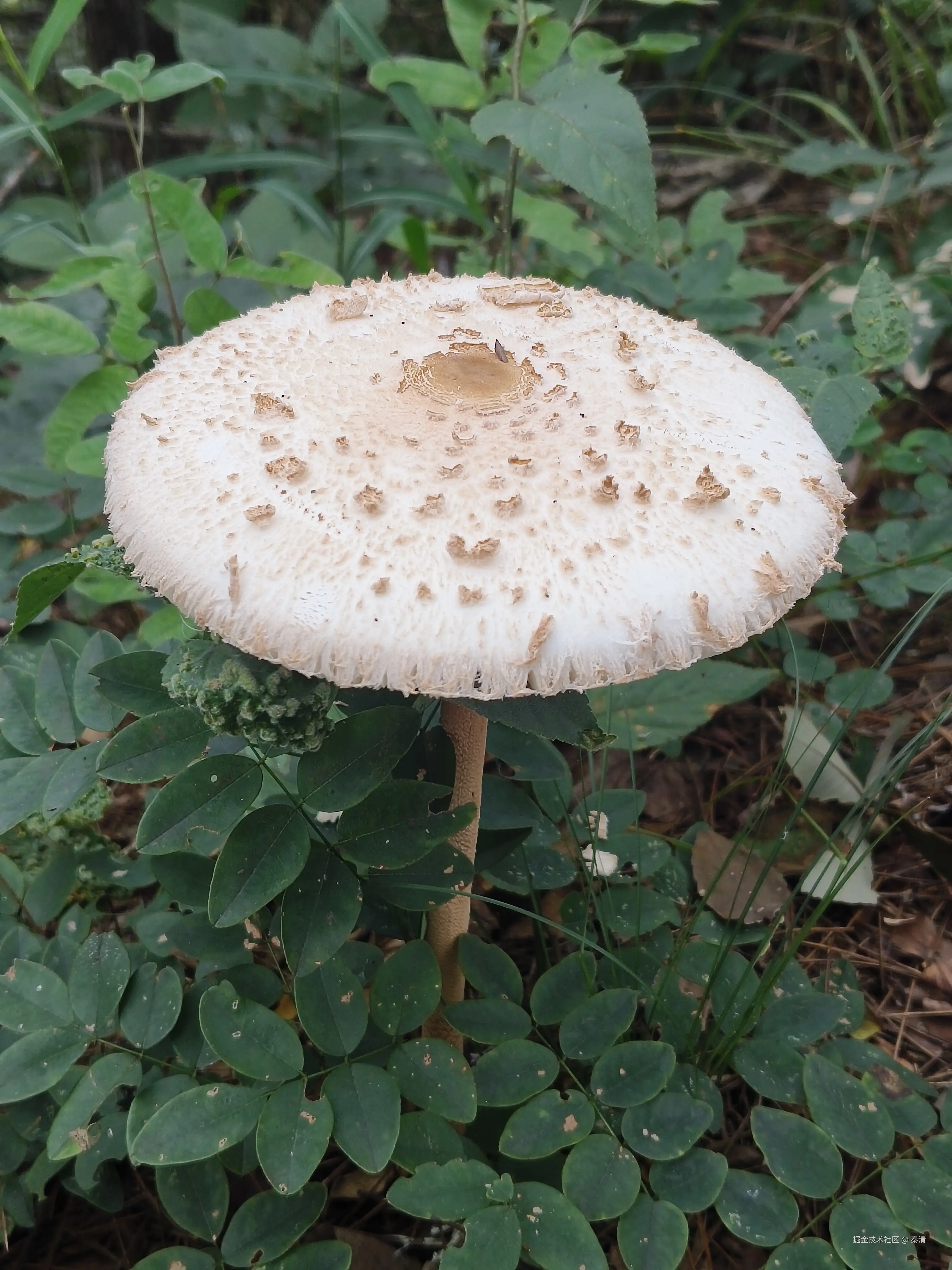 秦清于2025-09-30 09:18发布的图片