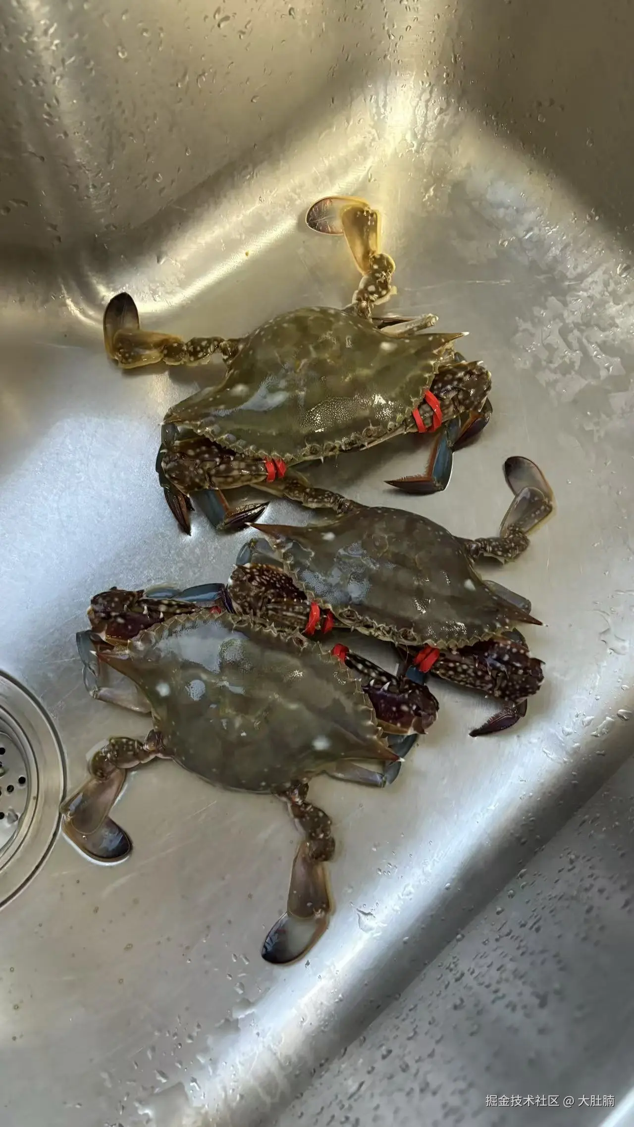 大肚腩于2025-08-08 09:30发布的图片