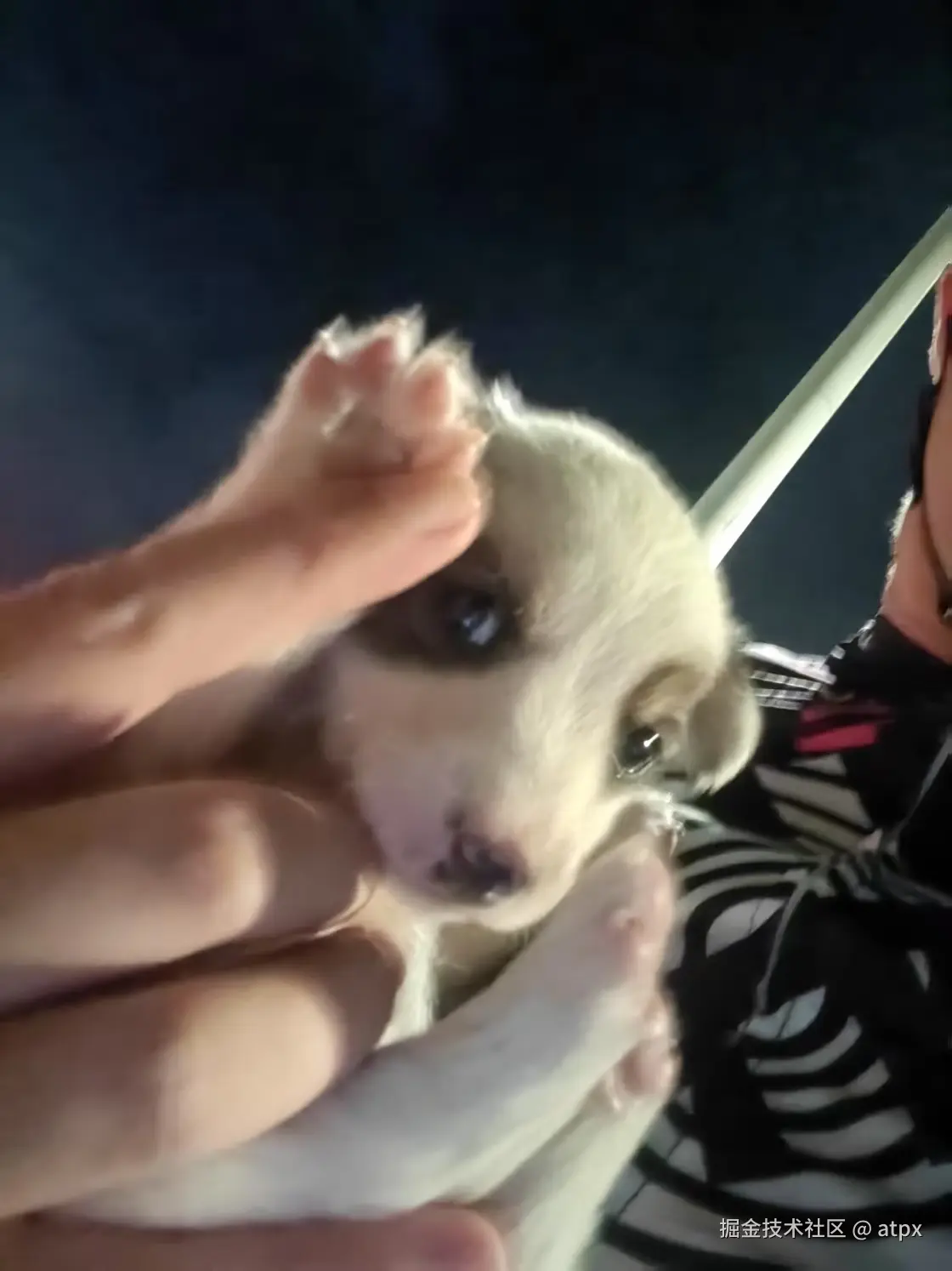 atpx于2025-04-21 16:16发布的图片