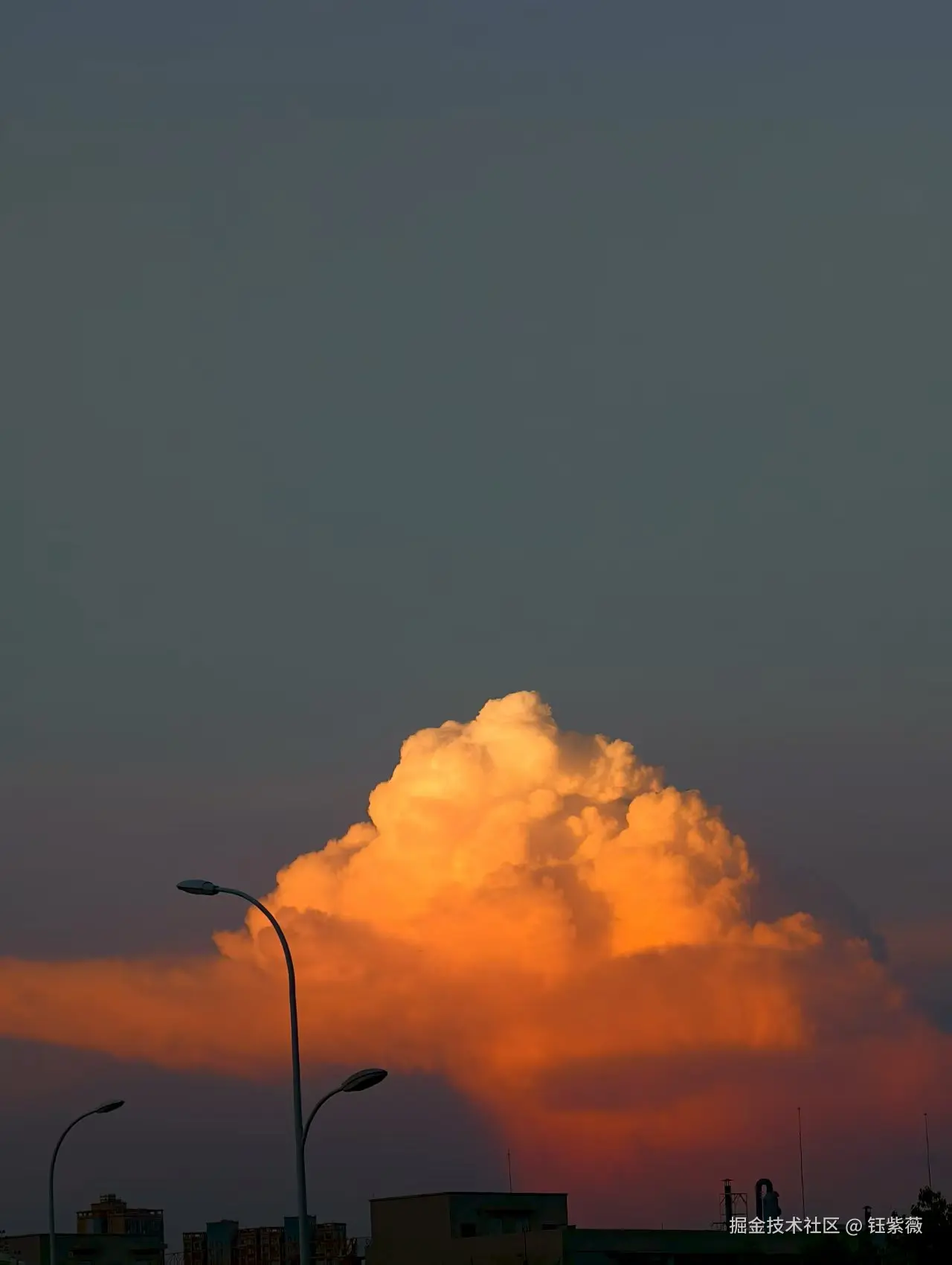 钰紫薇于2025-07-28 09:24发布的图片