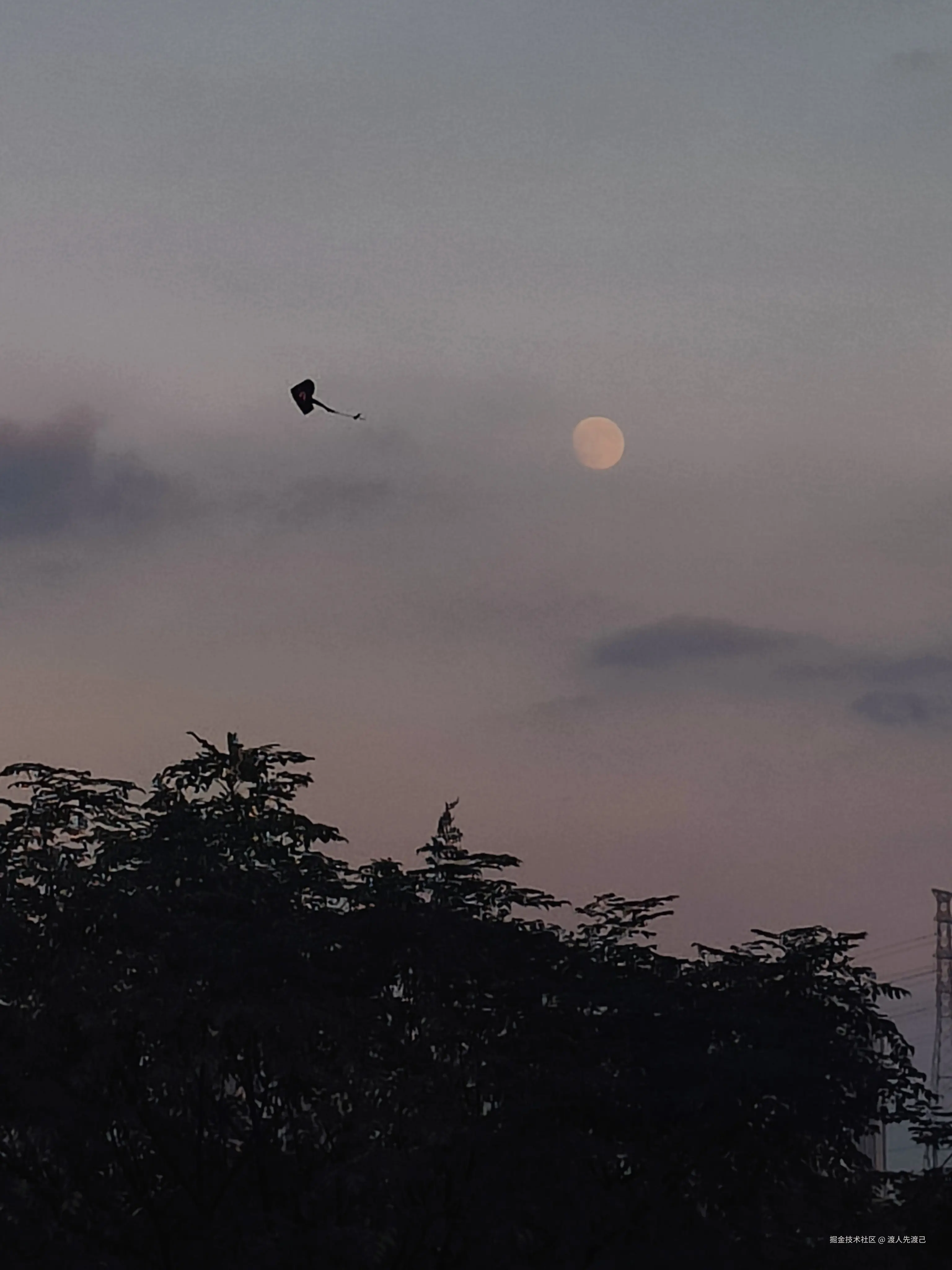 渡人先渡己于2024-09-29 13:53发布的图片