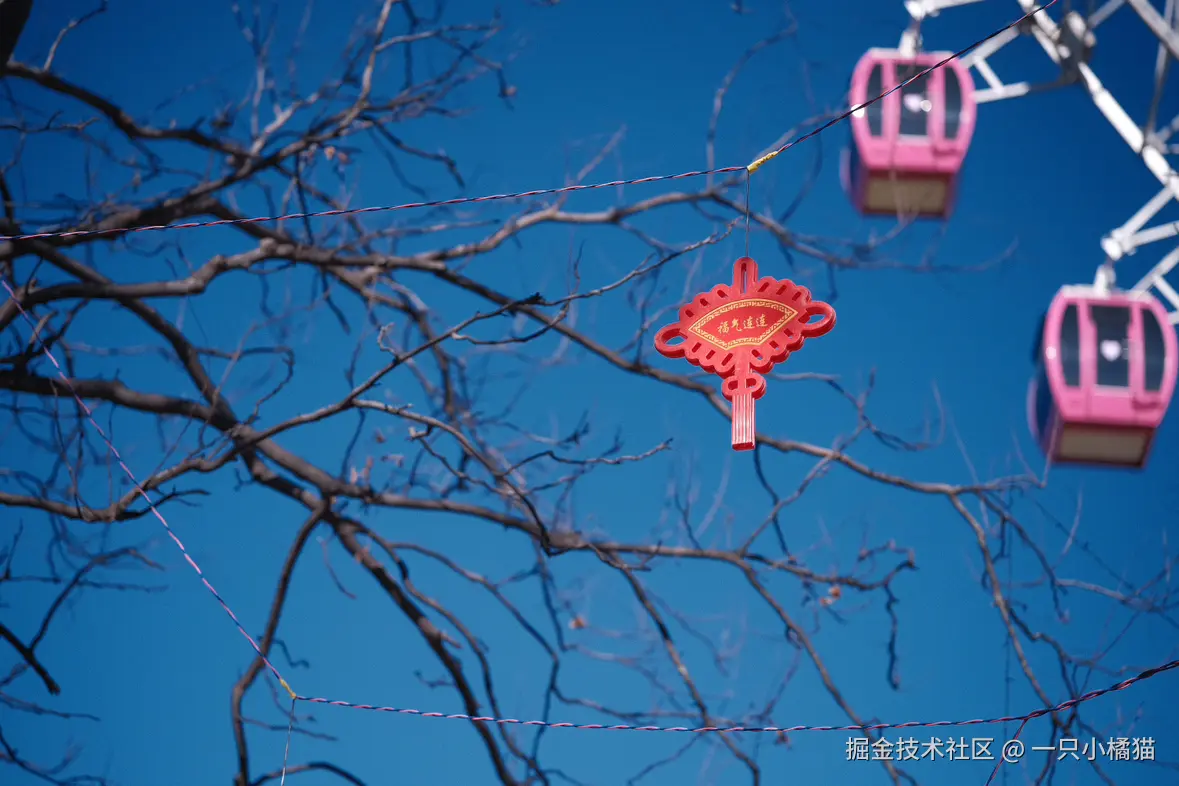 一只小橘猫于2025-02-03 12:01发布的图片