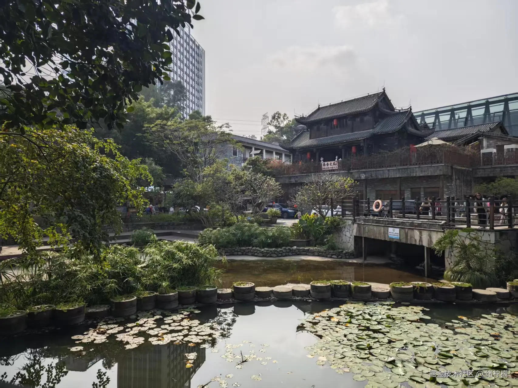 绪柠檬于2026-01-12 11:36发布的图片