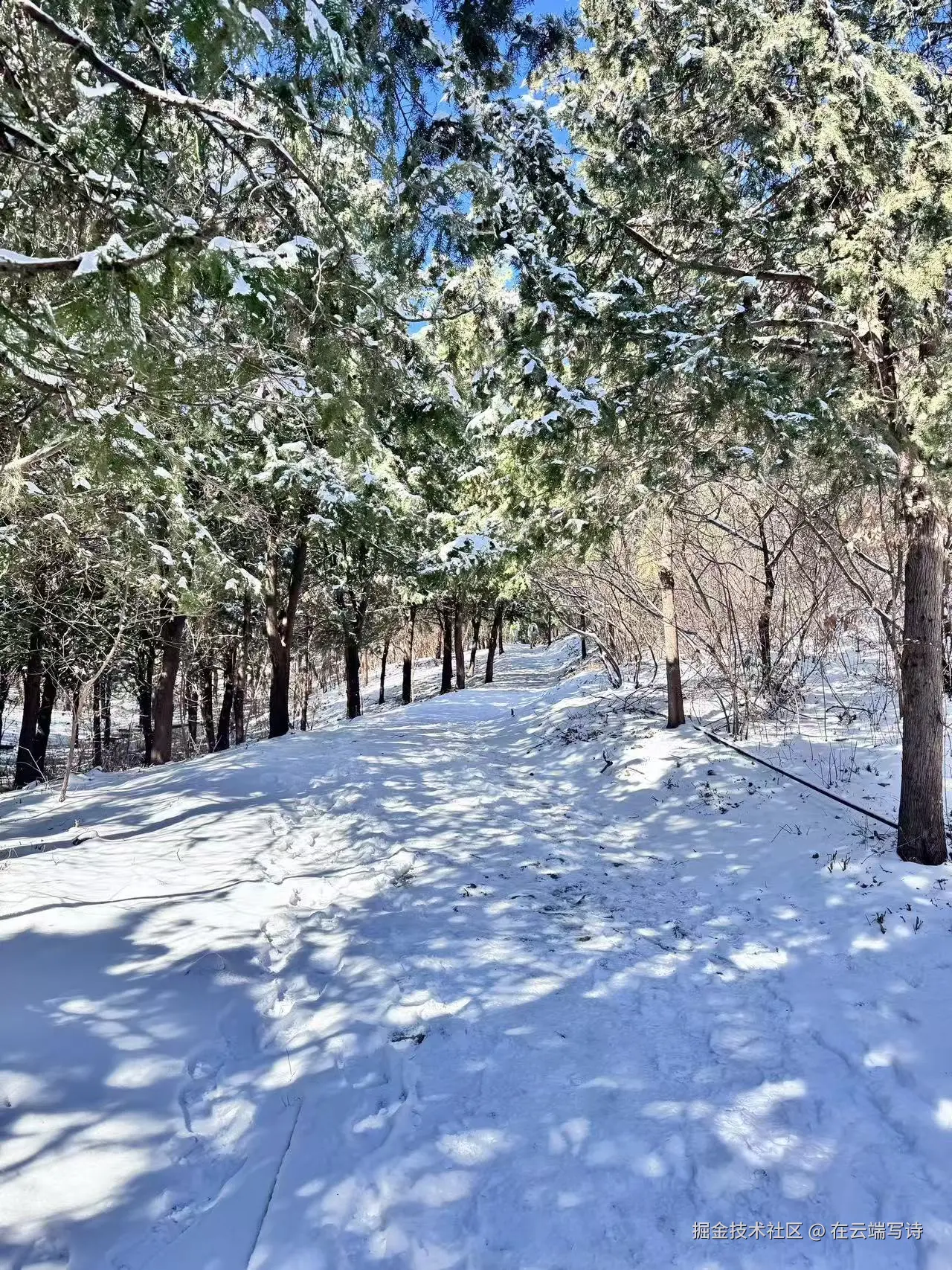 在云端写诗于2026-03-09 10:38发布的图片