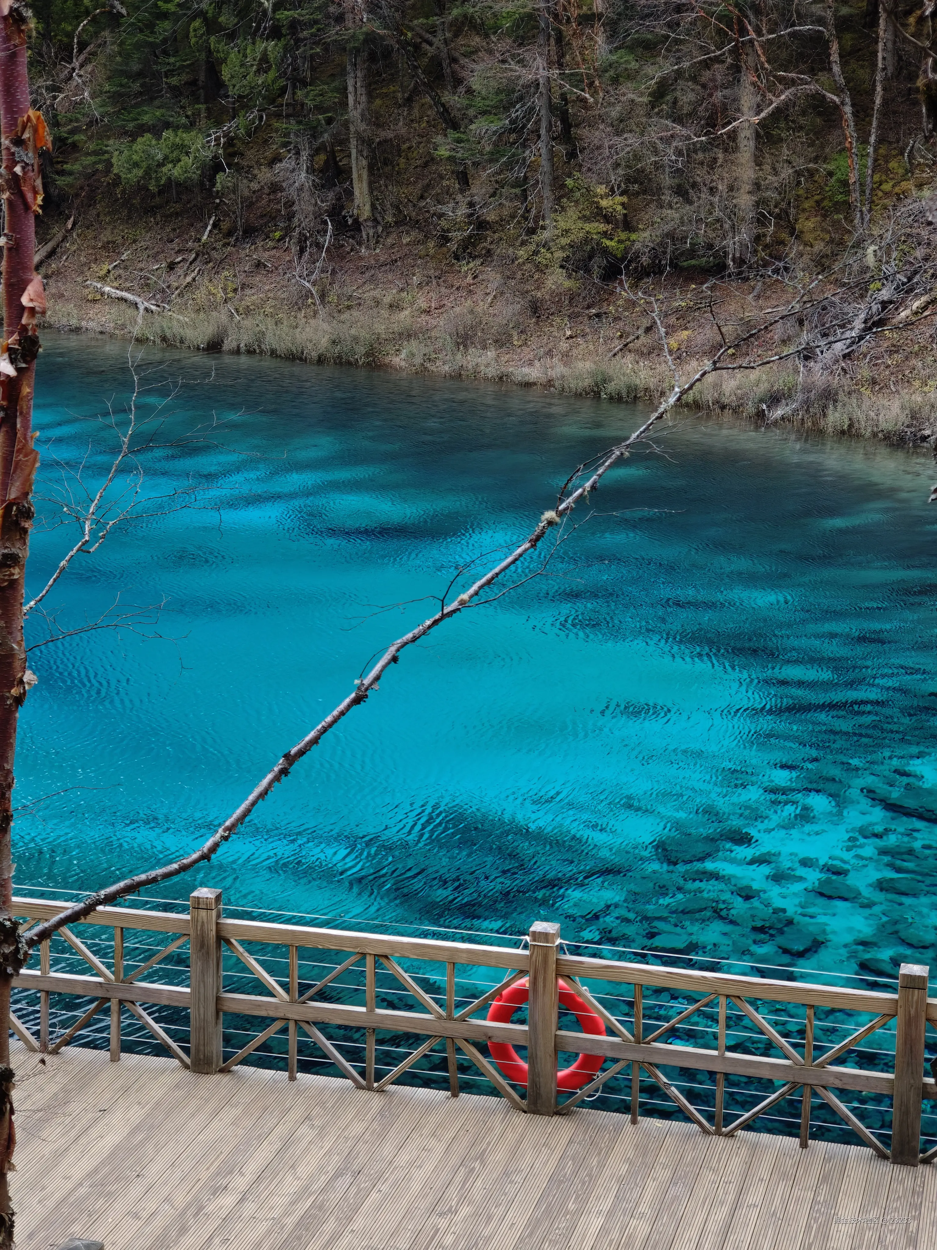 23233于2025-11-06 15:52发布的图片