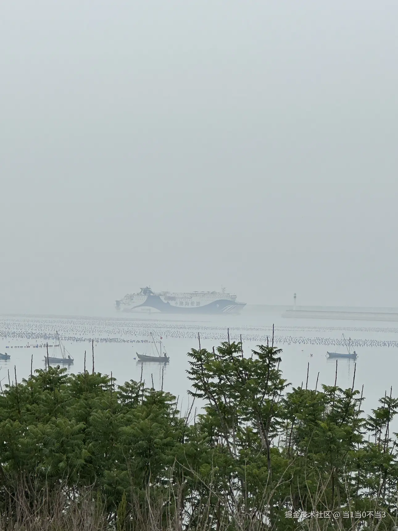 当1当0不当3于2025-06-05 12:40发布的图片