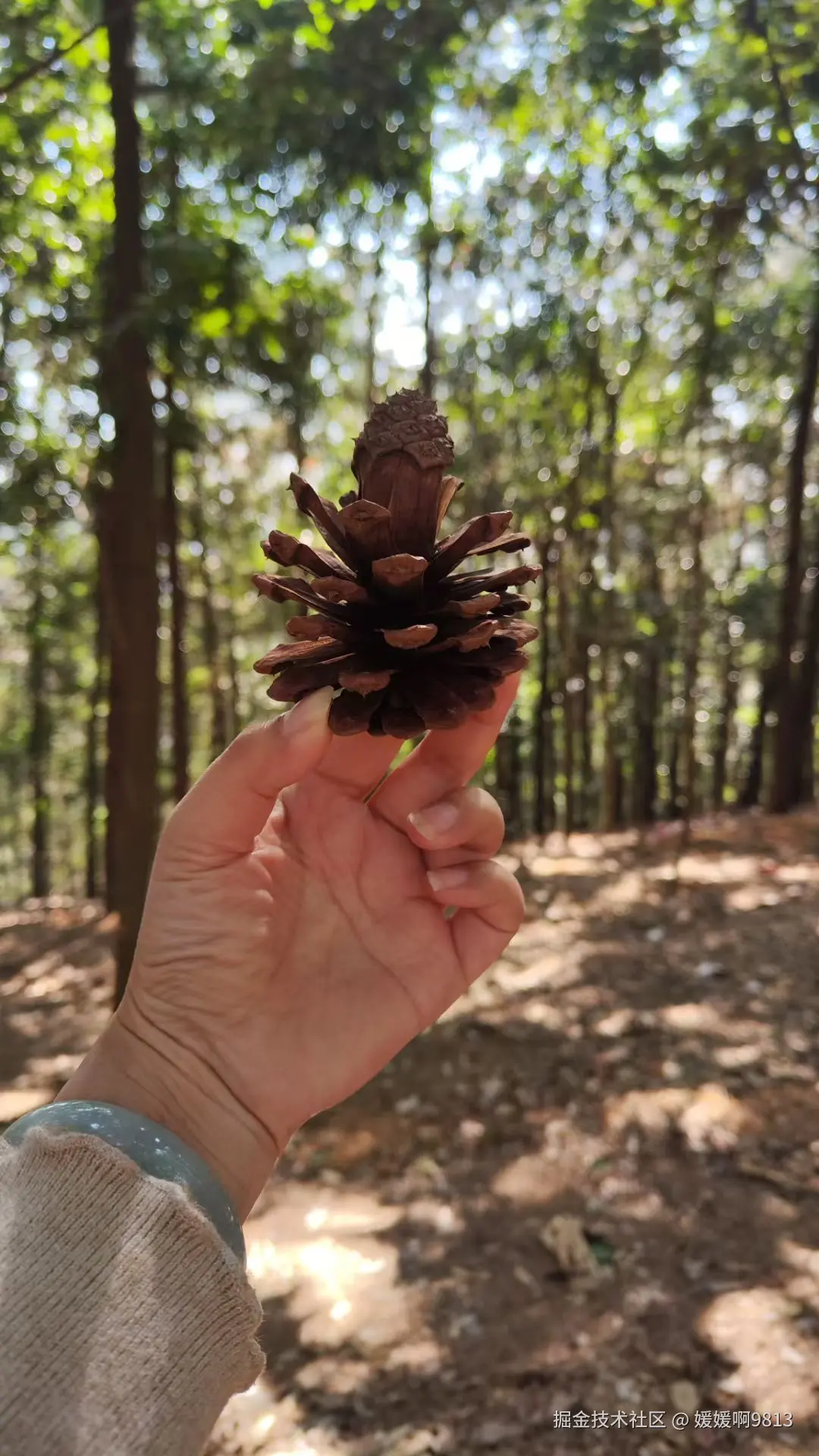 媛媛啊9813于2025-01-12 20:29发布的图片