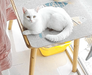 就爱吃火锅于2025-10-09 03:10发布的图片