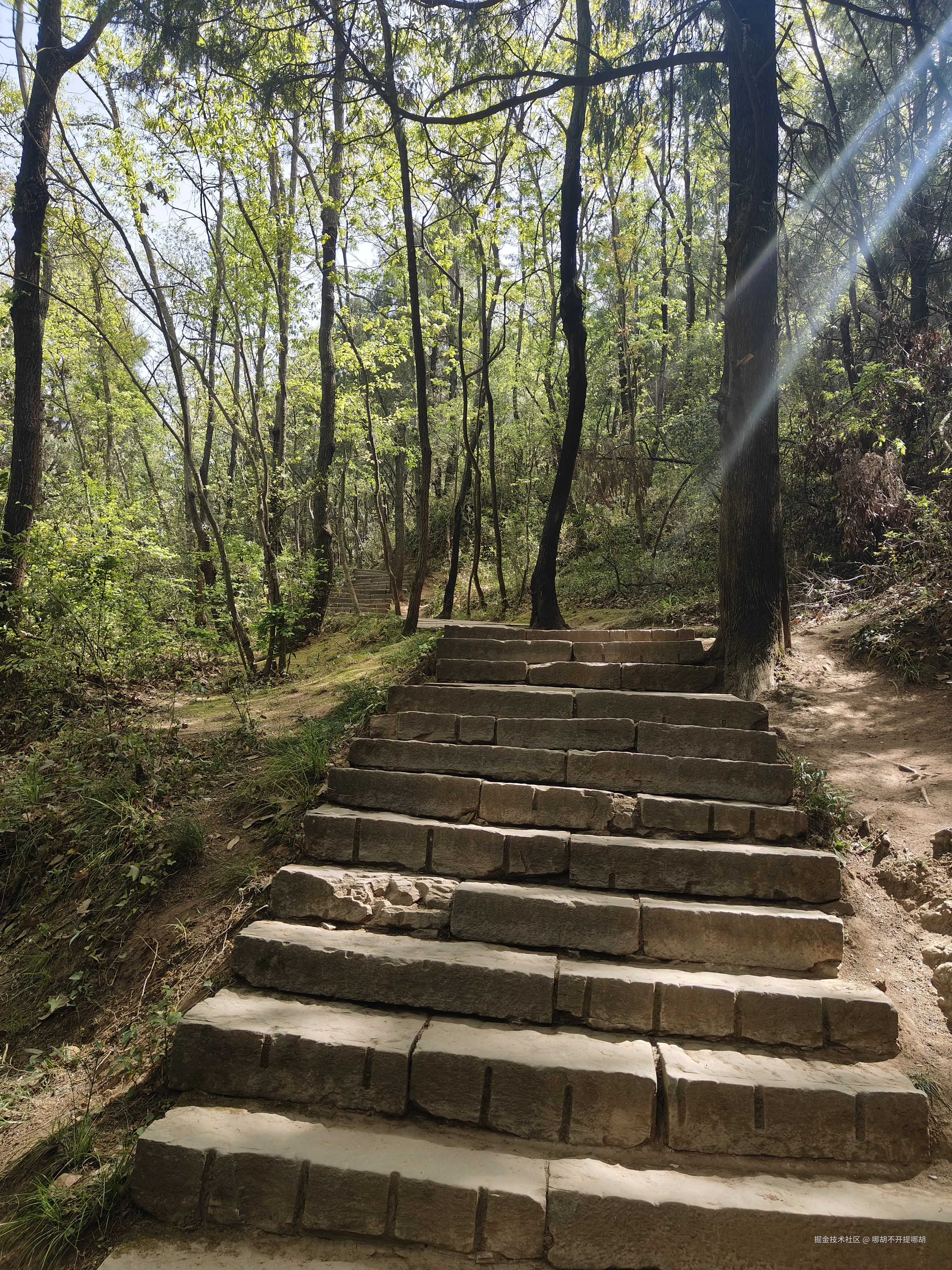 哪胡不开提哪胡于2025-04-14 08:41发布的图片