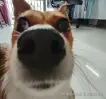 沉默的龙王于2025-07-04 16:03发布的图片