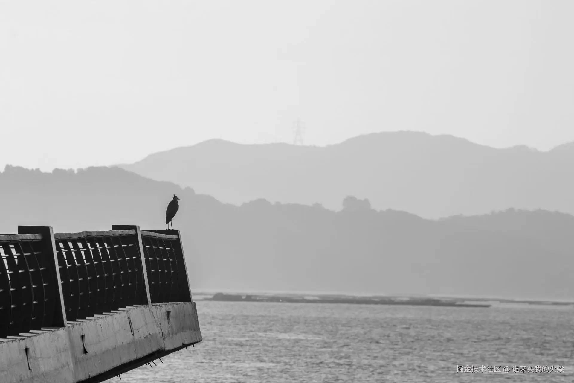 谁来买我的火柴于2024-10-31 17:10发布的图片