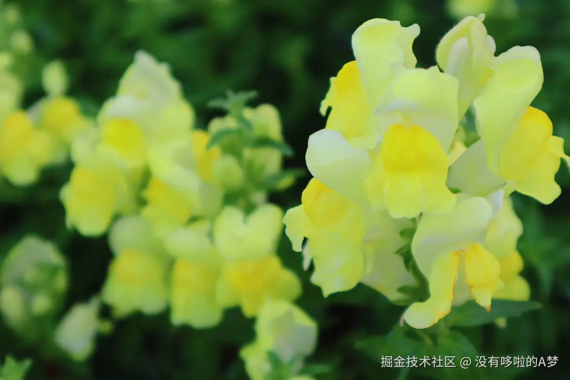 没有哆啦的A梦于2025-03-27 13:46发布的图片