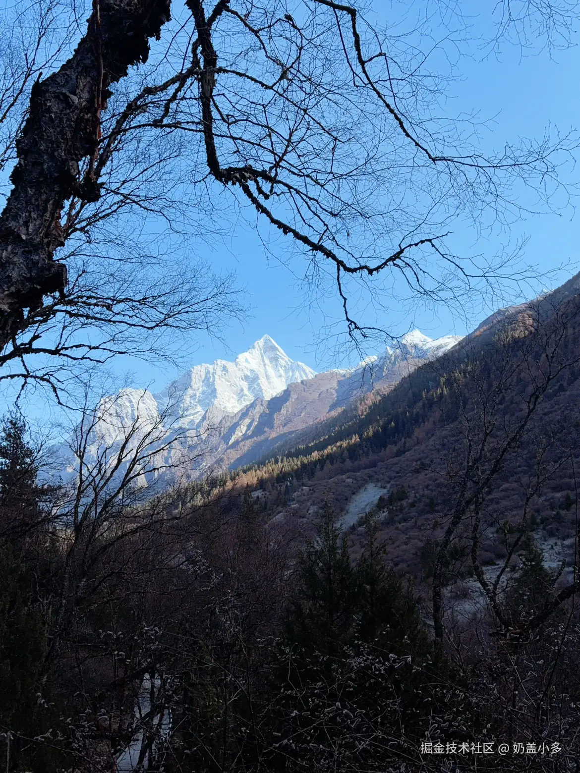 奶盖小多于2026-04-22 15:52发布的图片