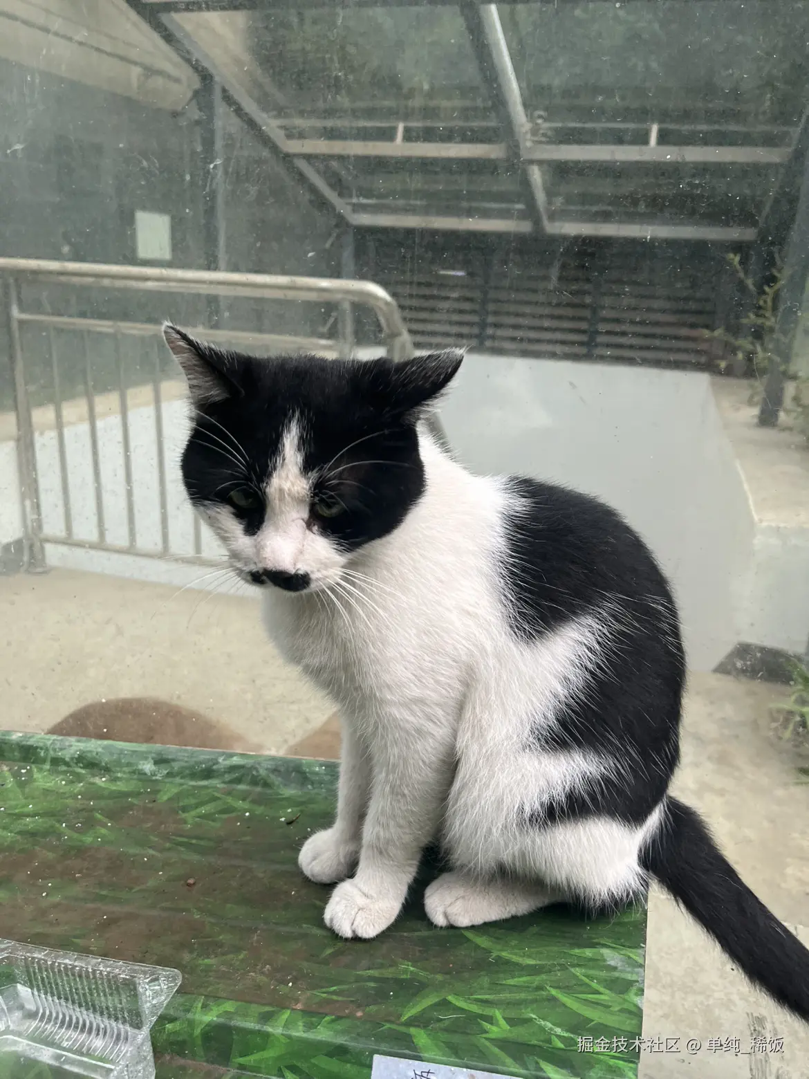 单纯_稀饭于2025-09-10 08:17发布的图片