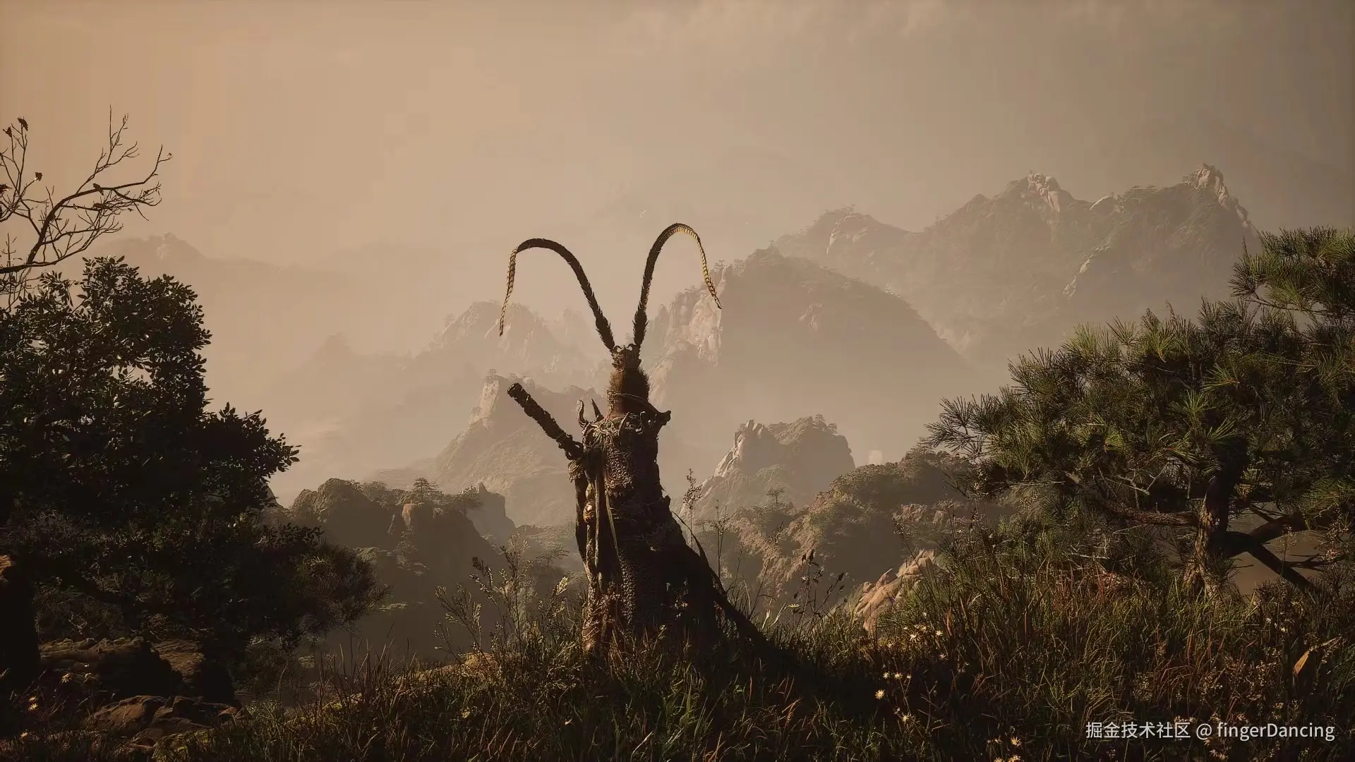 fingerDancing于2024-09-02 15:48发布的图片