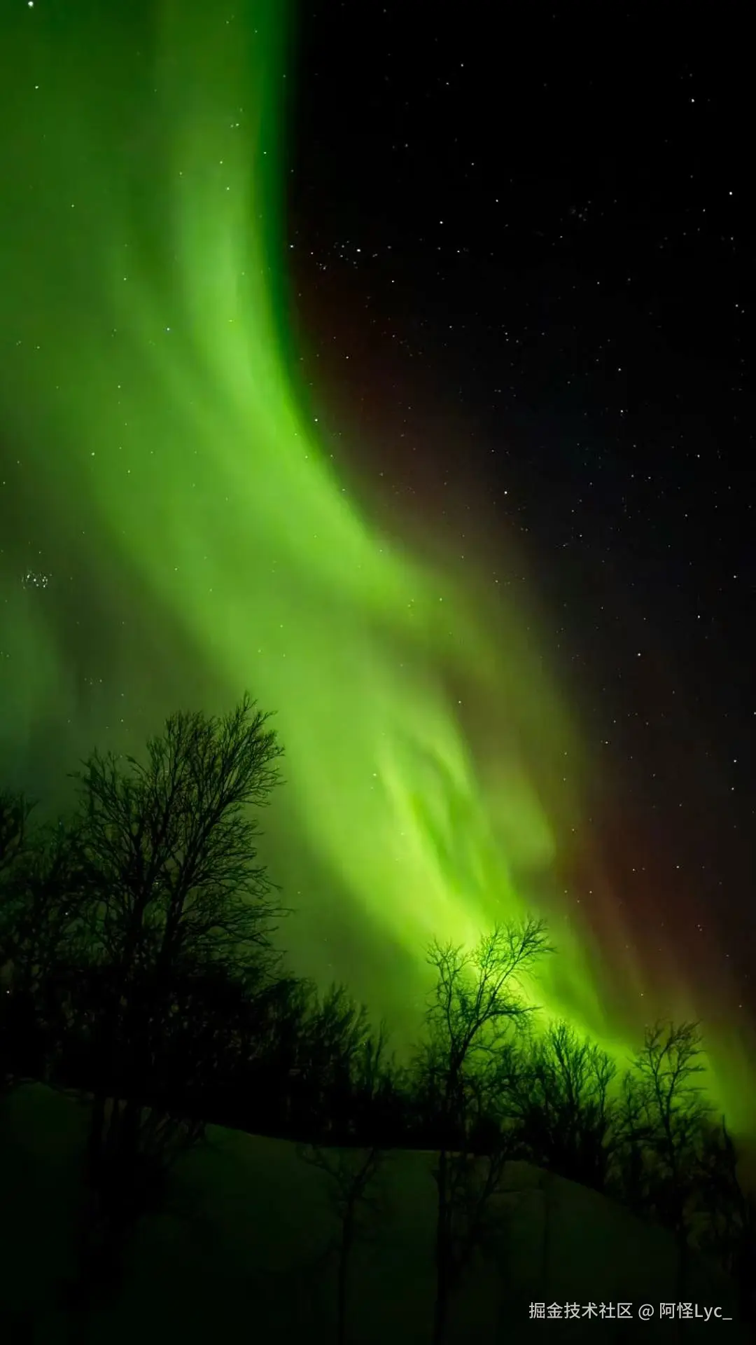 阿怪Lyc_于2025-02-11 09:52发布的图片