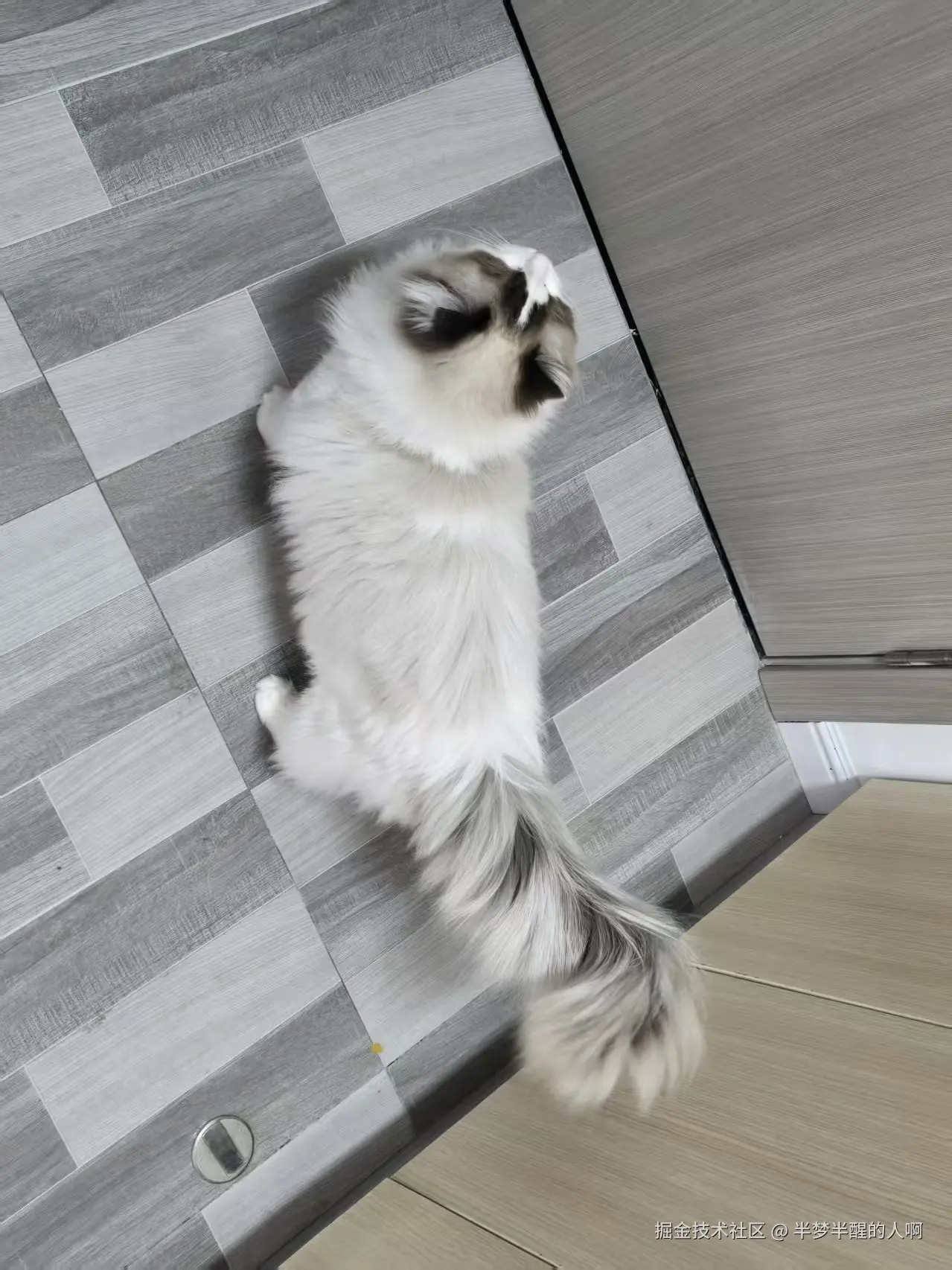 半梦半醒的人啊于2025-11-03 13:37发布的图片