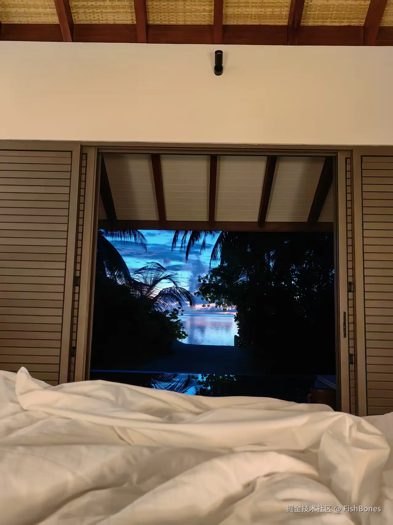 FishBones于2025-10-09 07:46发布的图片