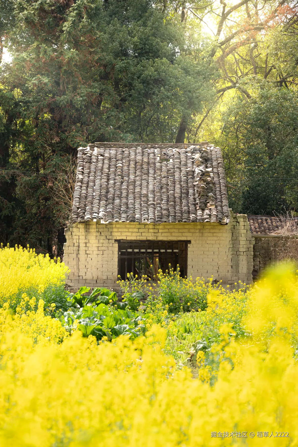 稻草人2222于2026-03-02 15:44发布的图片