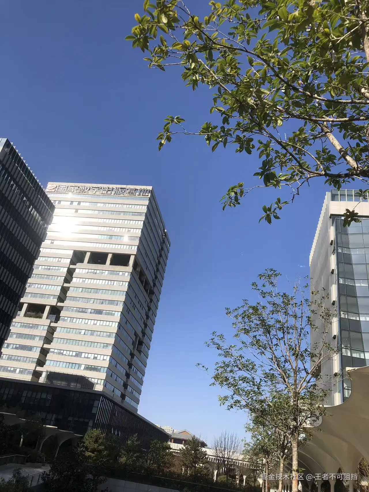 王者不可阻挡于2025-11-28 15:33发布的图片