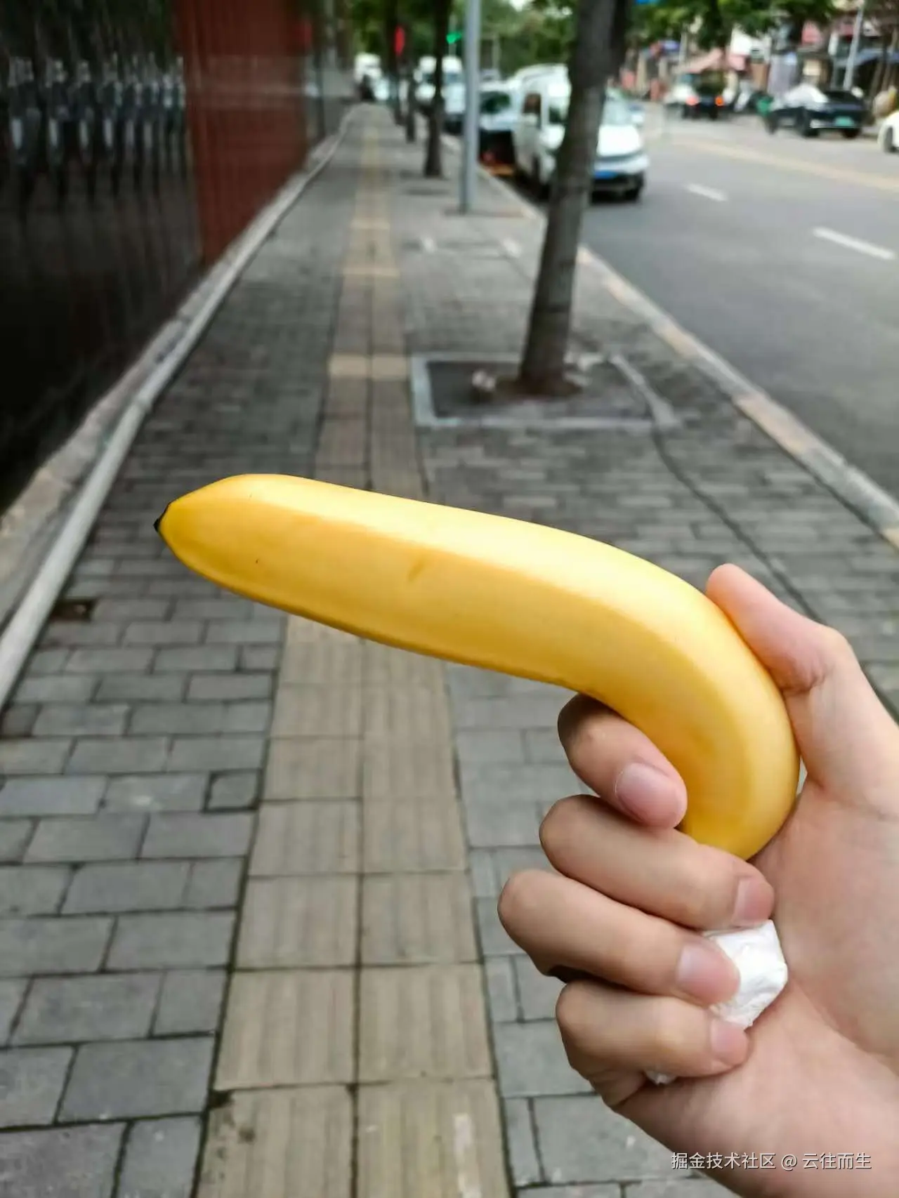 云往而生于2025-06-23 10:13发布的图片