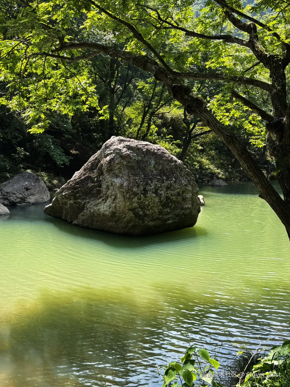 Clover_Zest于2026-04-30 14:40发布的图片