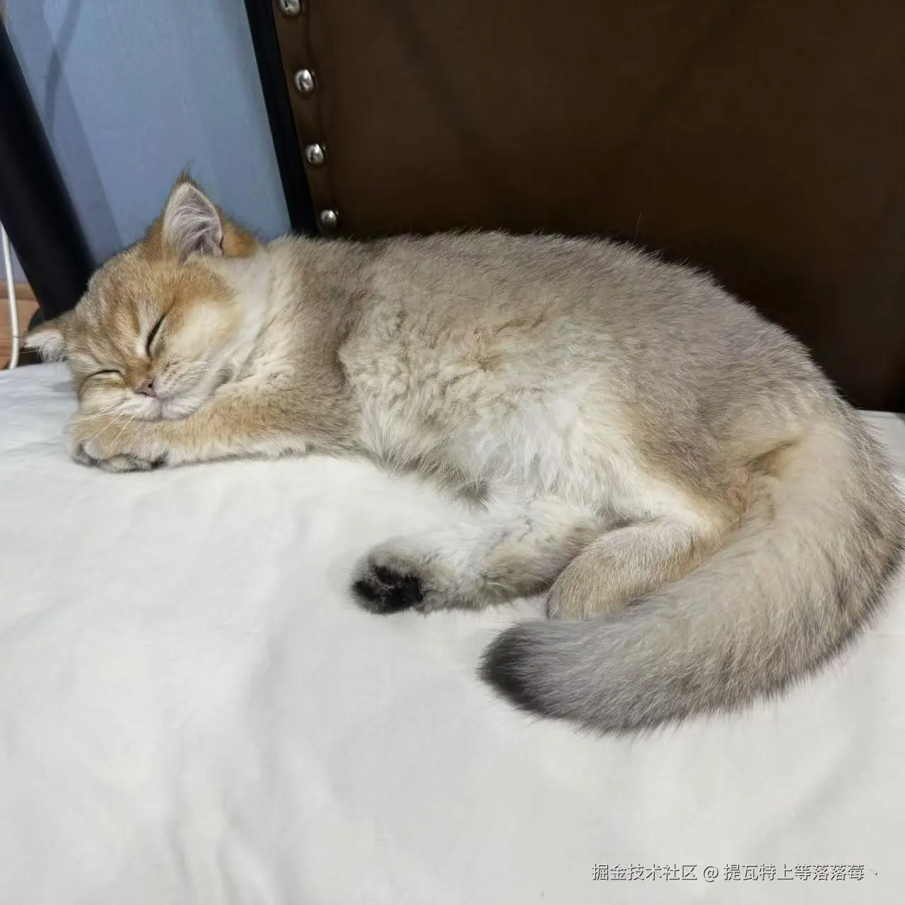 提瓦特上等落落莓丶于2024-11-04 08:47发布的图片