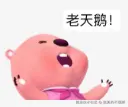 我真的不理解于2025-01-10 15:03发布的图片