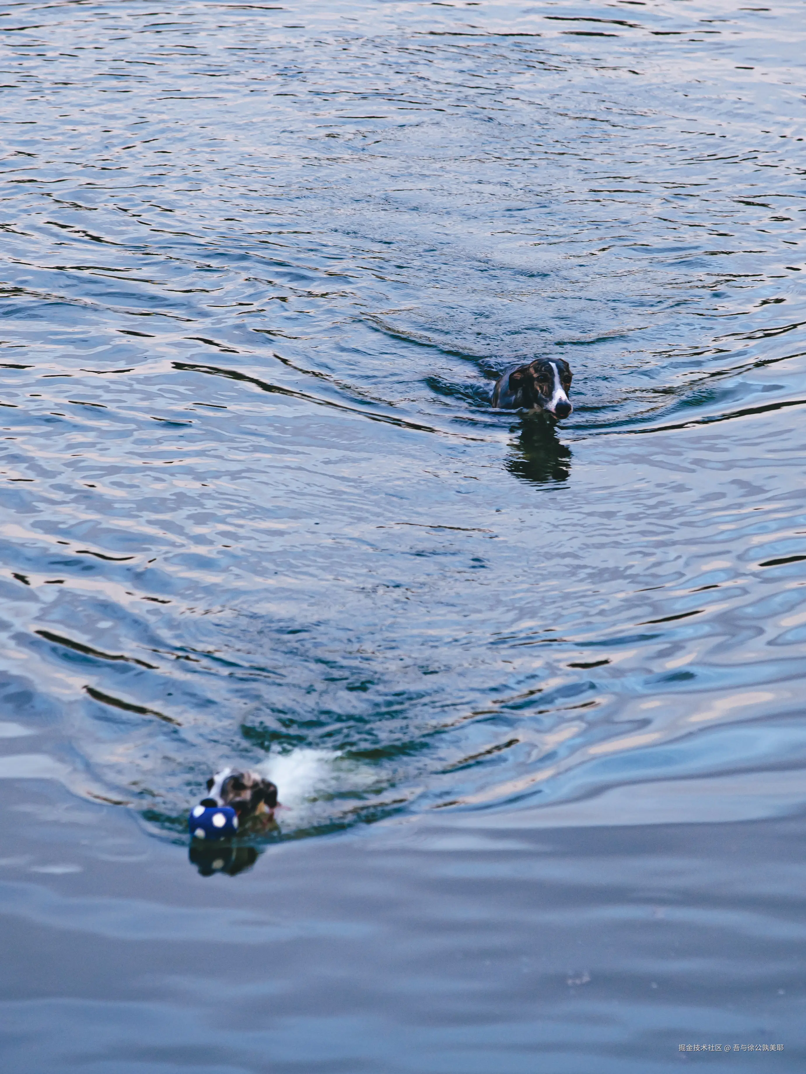 吾与徐公孰美耶于2025-09-04 14:13发布的图片