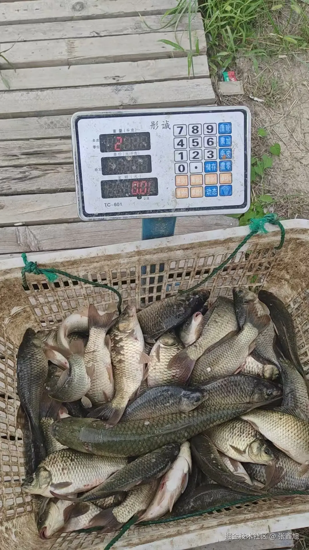 张鑫旭于2025-08-15 16:44发布的图片