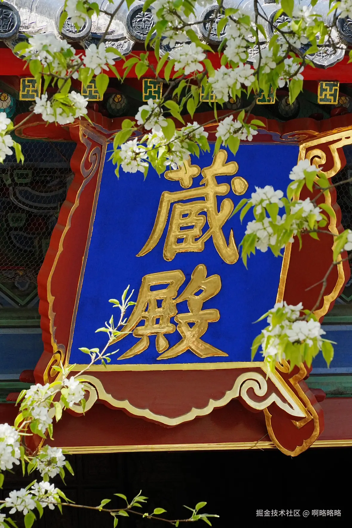 啊略略略于2025-04-02 06:21发布的图片